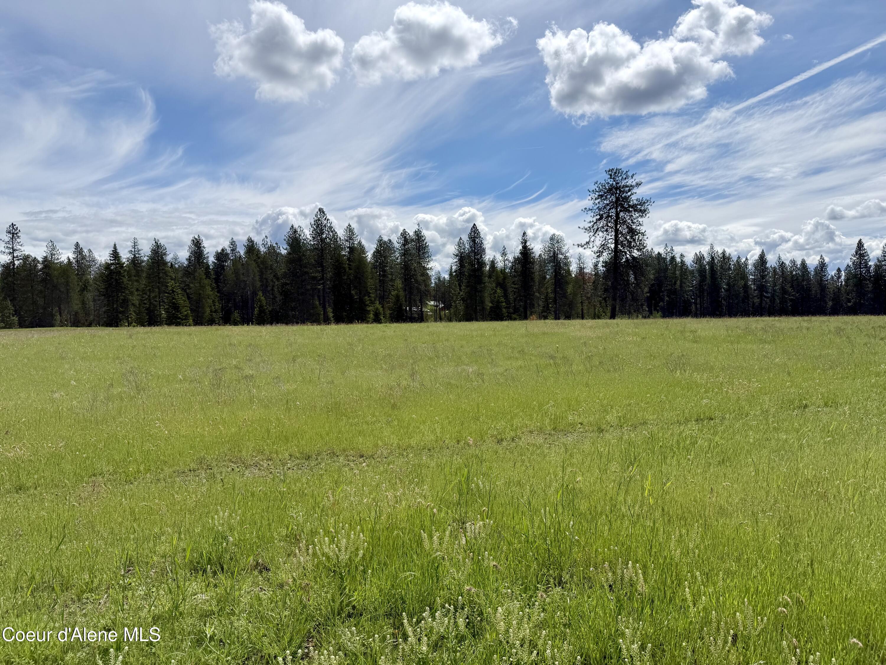 Lot 12 North Stonemason Way Rathdrum, ID 83858 - Photo 2 of 6 5 acres backing up to mature trees.