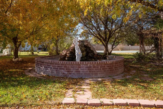 a view of a backyard