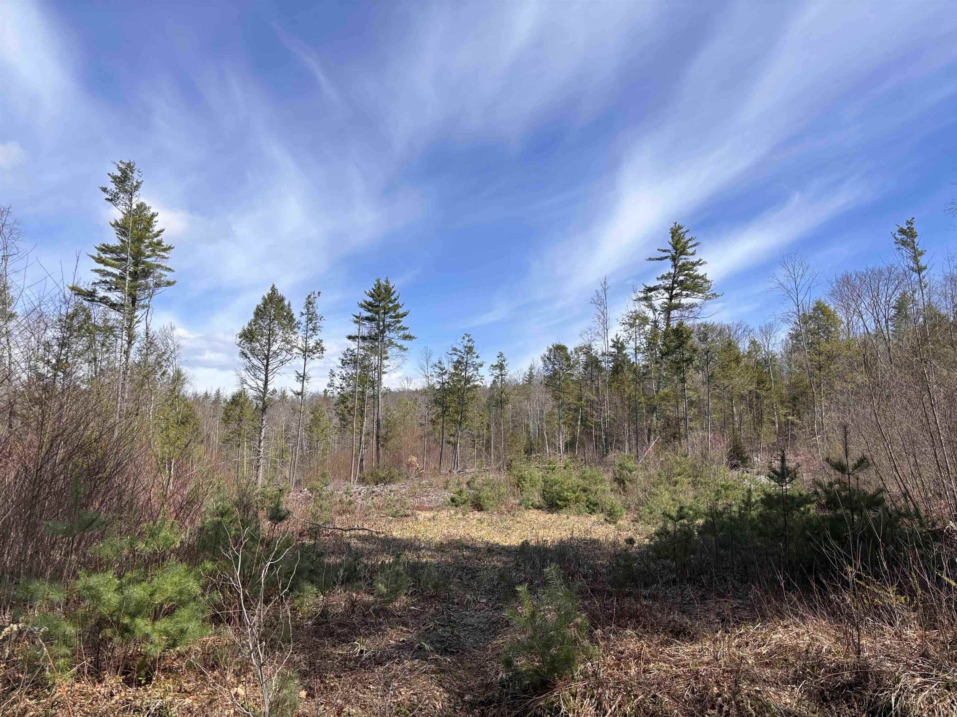 M409-l66-2 Old Turnpike Road Richmond, NH 03470 - Photo 11 of 17