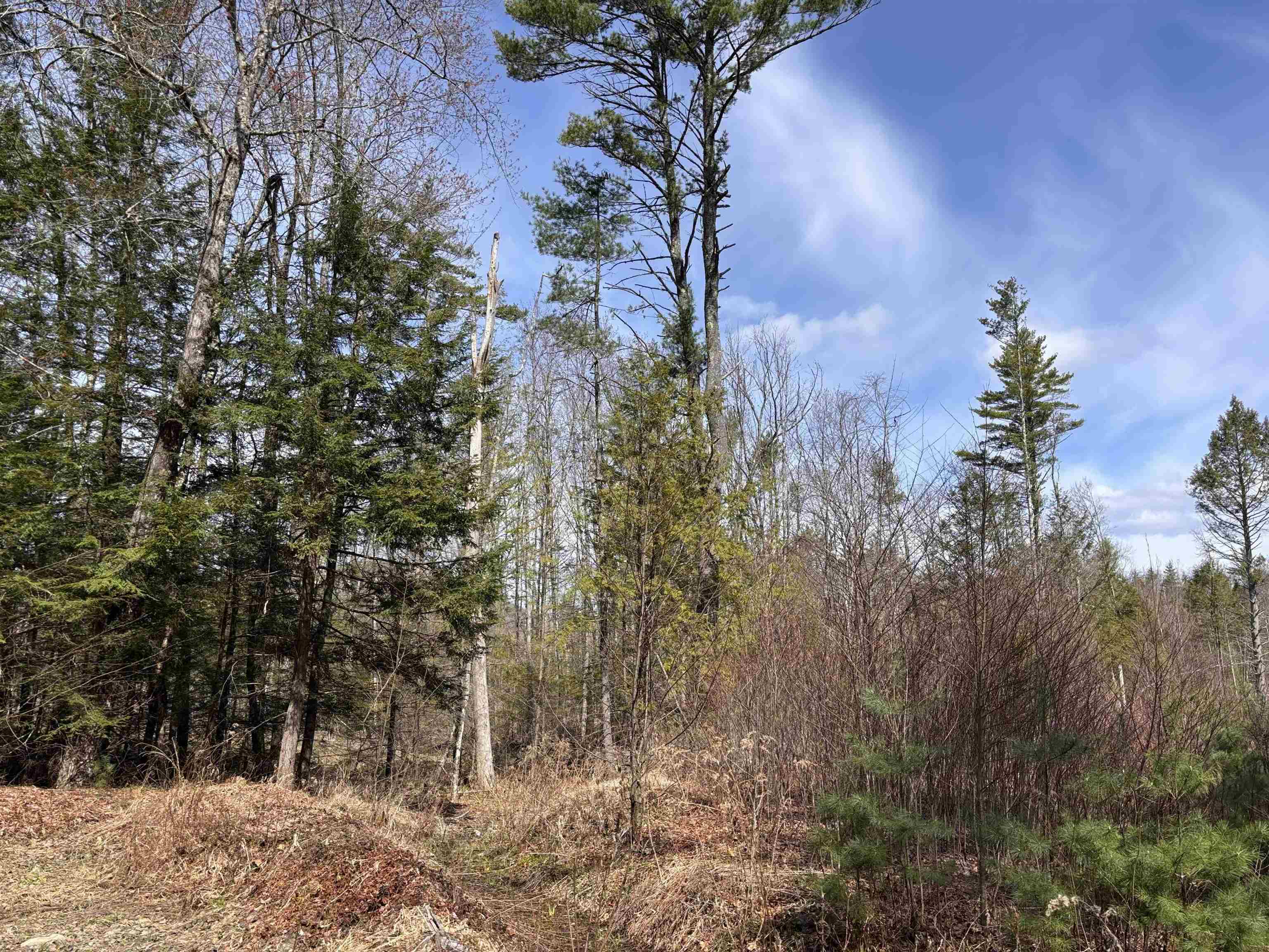 M409-l66-2 Old Turnpike Road Richmond, NH 03470 - Photo 12 of 17