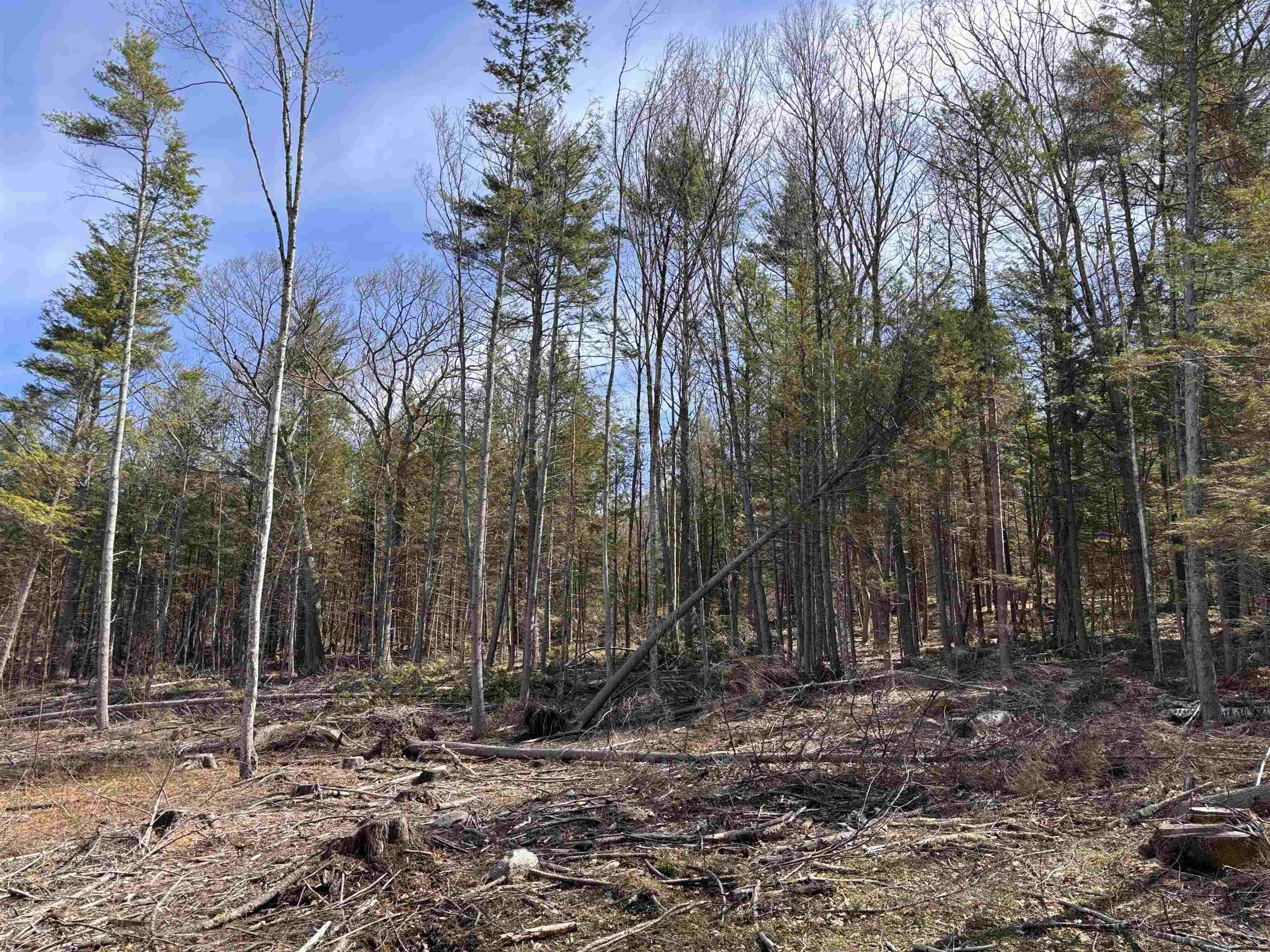 M409-l66-2 Old Turnpike Road Richmond, NH 03470 - Photo 17 of 17