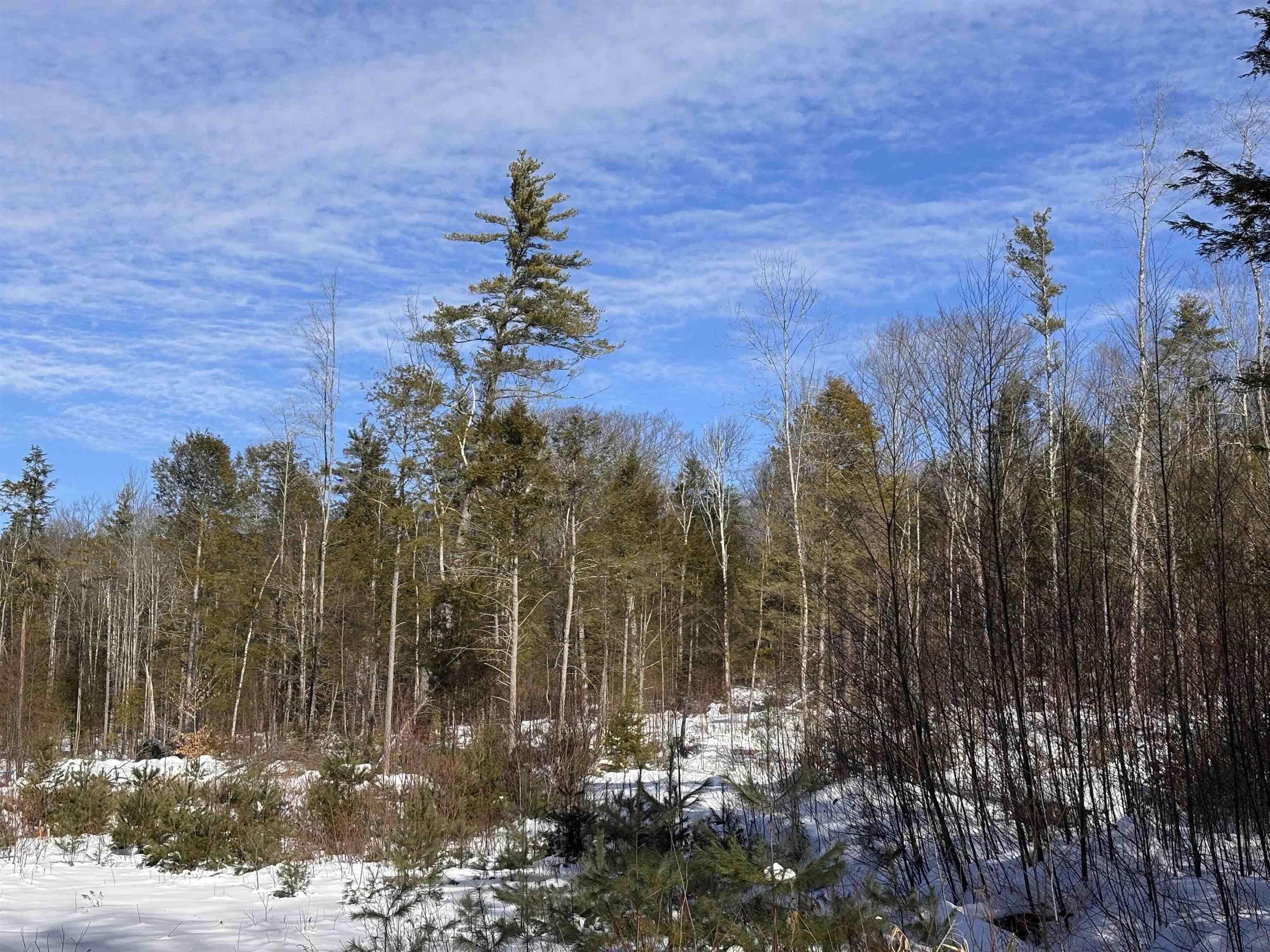 M409-l66-2 Old Turnpike Road Richmond, NH 03470 - Photo 4 of 10