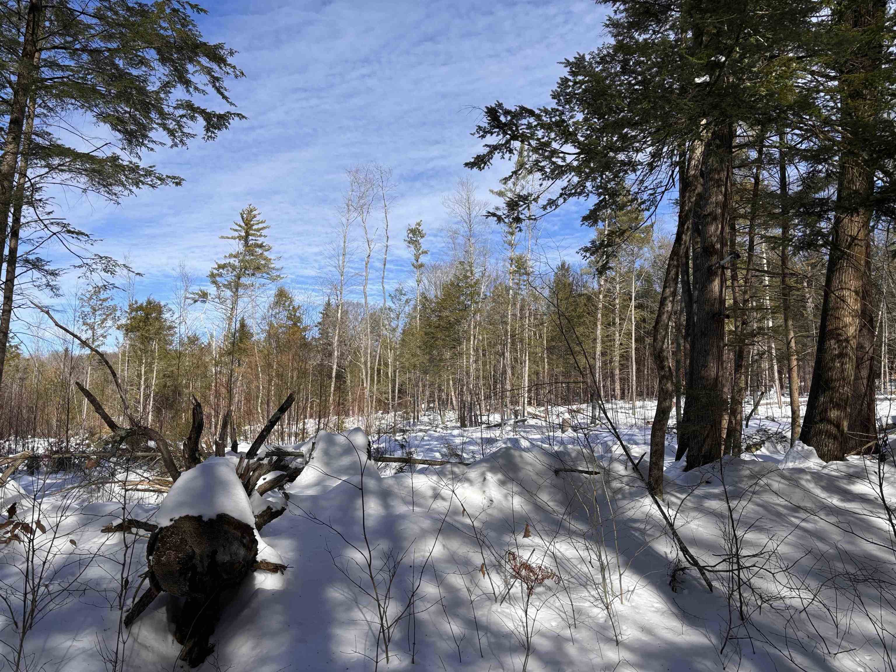 M409-l66-2 Old Turnpike Road Richmond, NH 03470 - Photo 5 of 10
