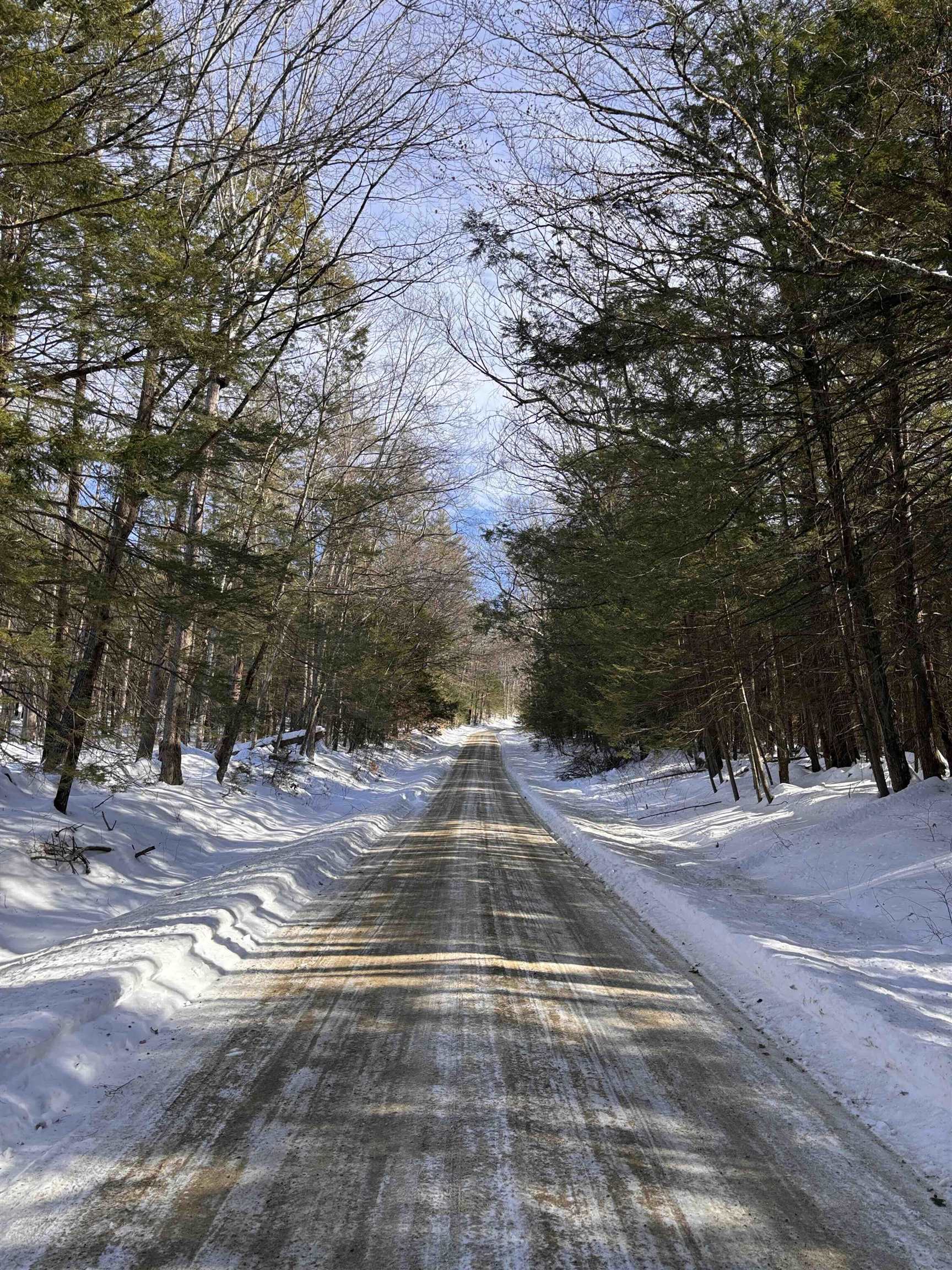 M409-l66-2 Old Turnpike Road Richmond, NH 03470 - Photo 6 of 10