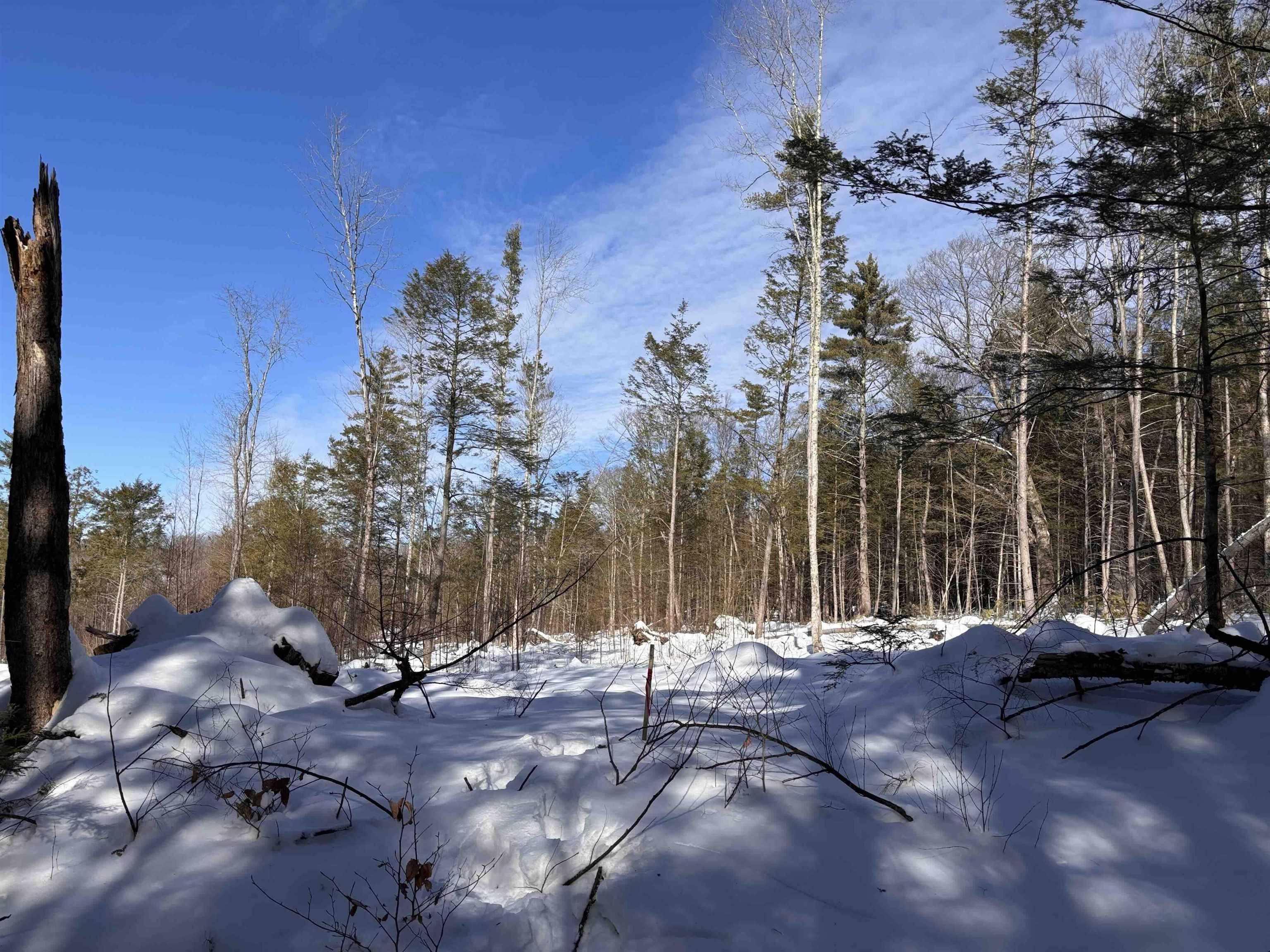 M409-l66-2 Old Turnpike Road Richmond, NH 03470 - Photo 7 of 10