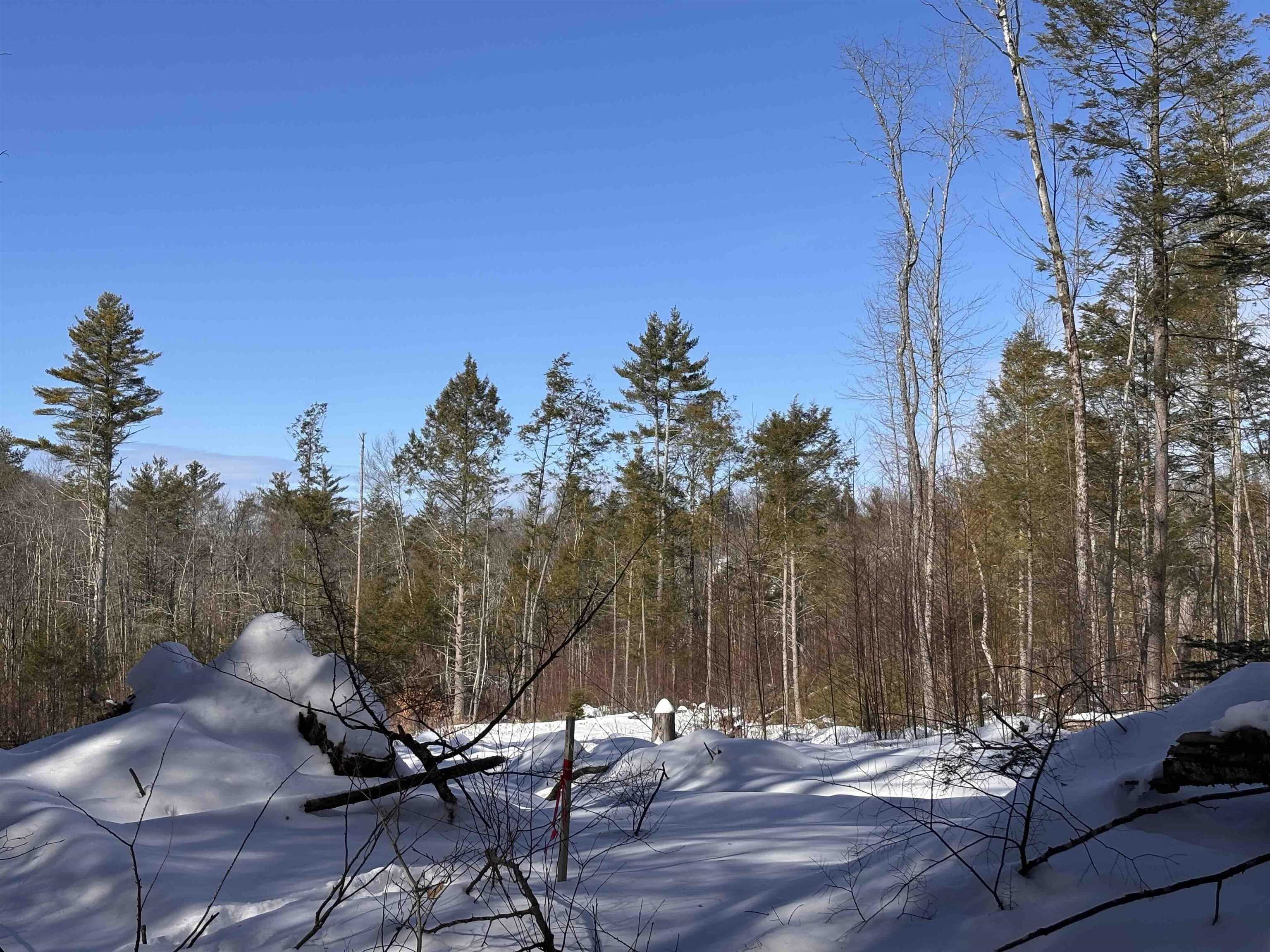 M409-l66-2 Old Turnpike Road Richmond, NH 03470 - Photo 8 of 10