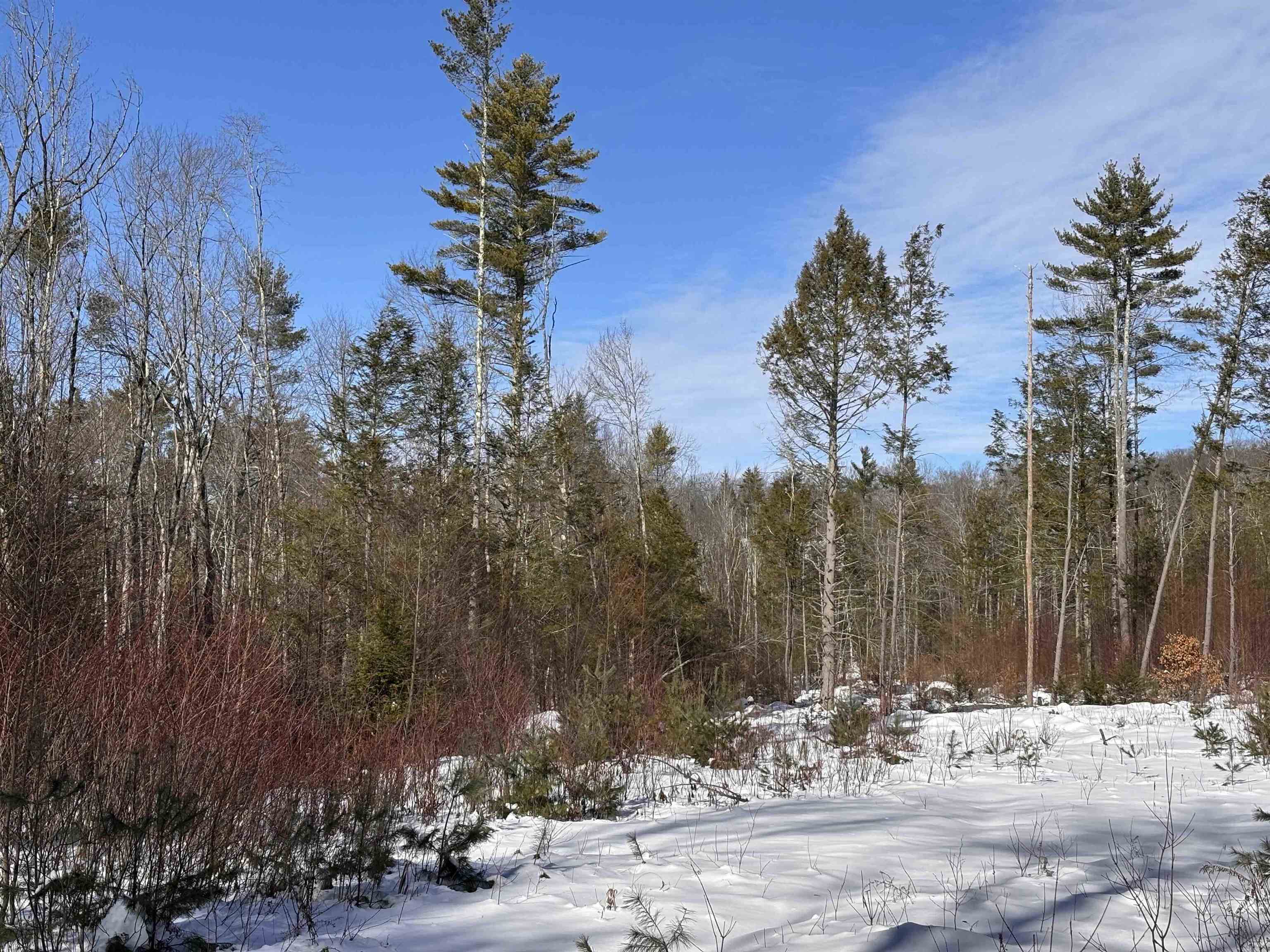 M409-l66-2 Old Turnpike Road Richmond, NH 03470 - Photo 10 of 10