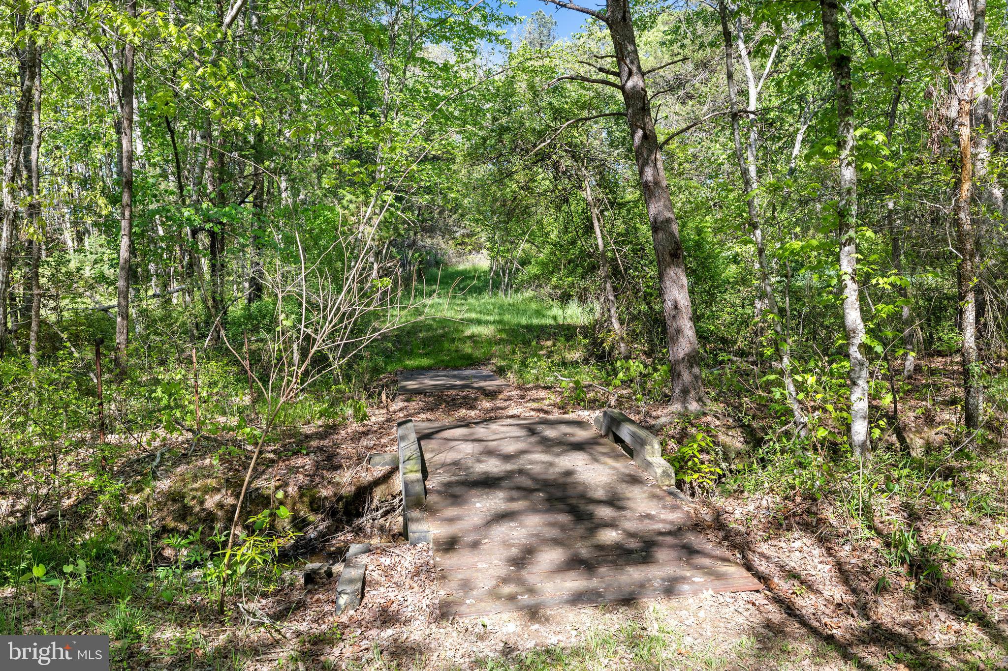 12421 Campbell Road Orange, VA 22960 - Photo 21 of 71 Bridge over stream