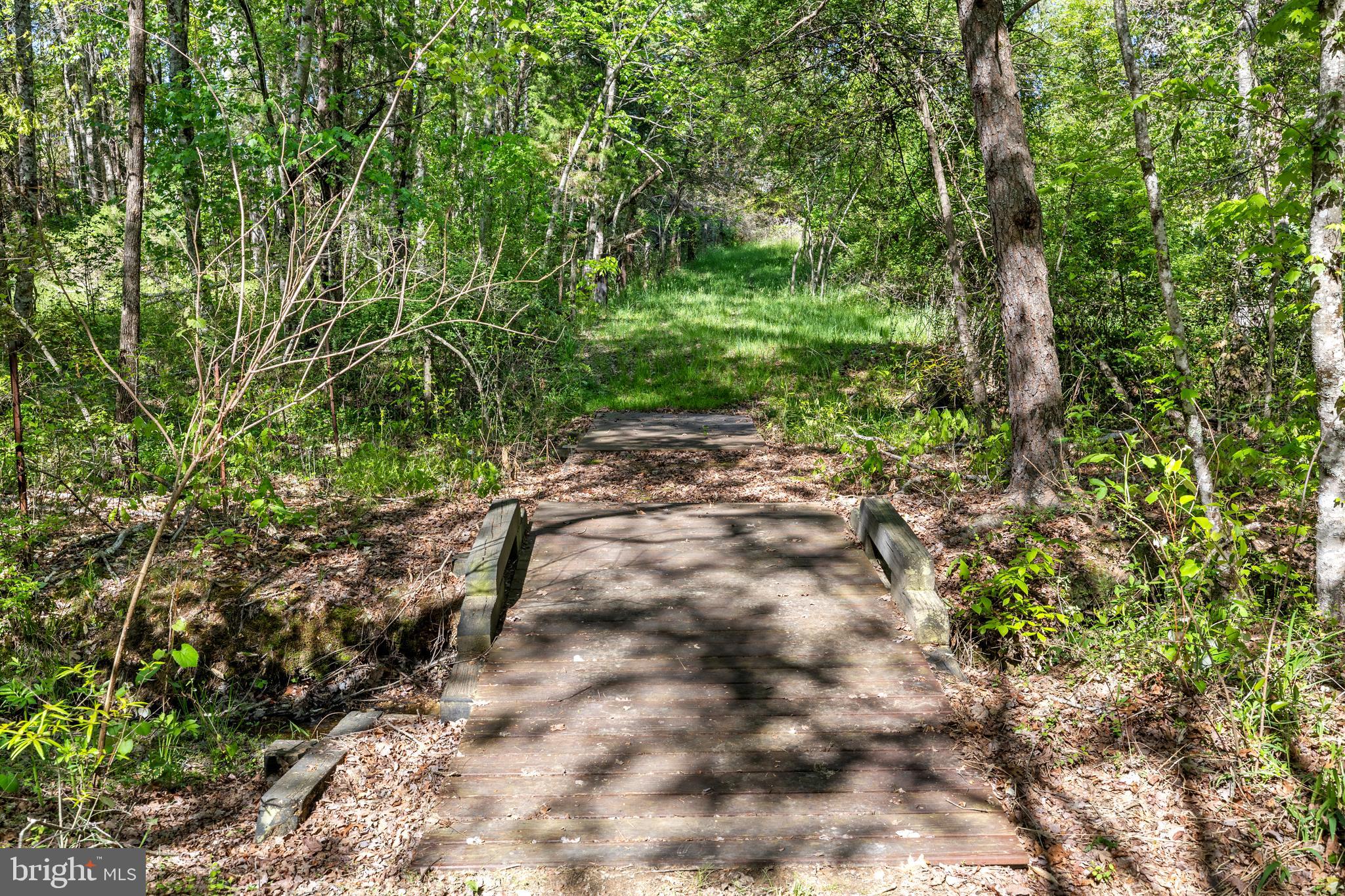 12421 Campbell Road Orange, VA 22960 - Photo 22 of 71 Bridge to trailin woods