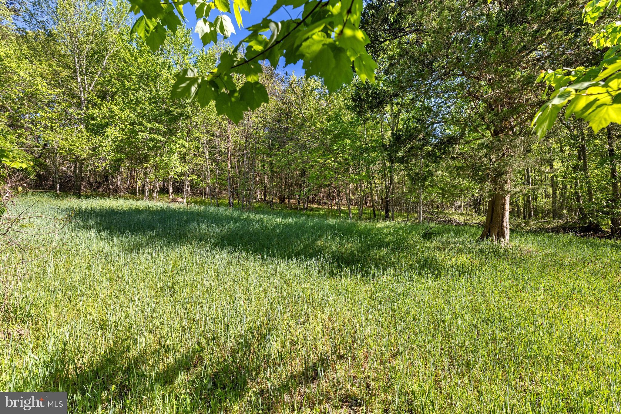 12421 Campbell Road Orange, VA 22960 - Photo 24 of 71 meadow