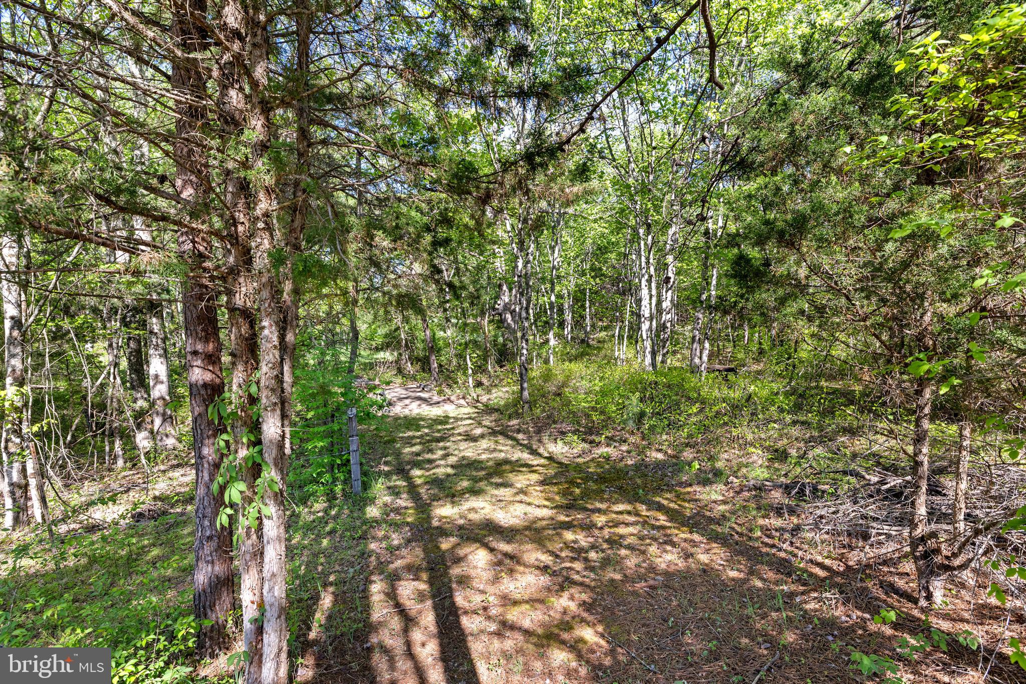 12421 Campbell Road Orange, VA 22960 - Photo 25 of 71 Trail