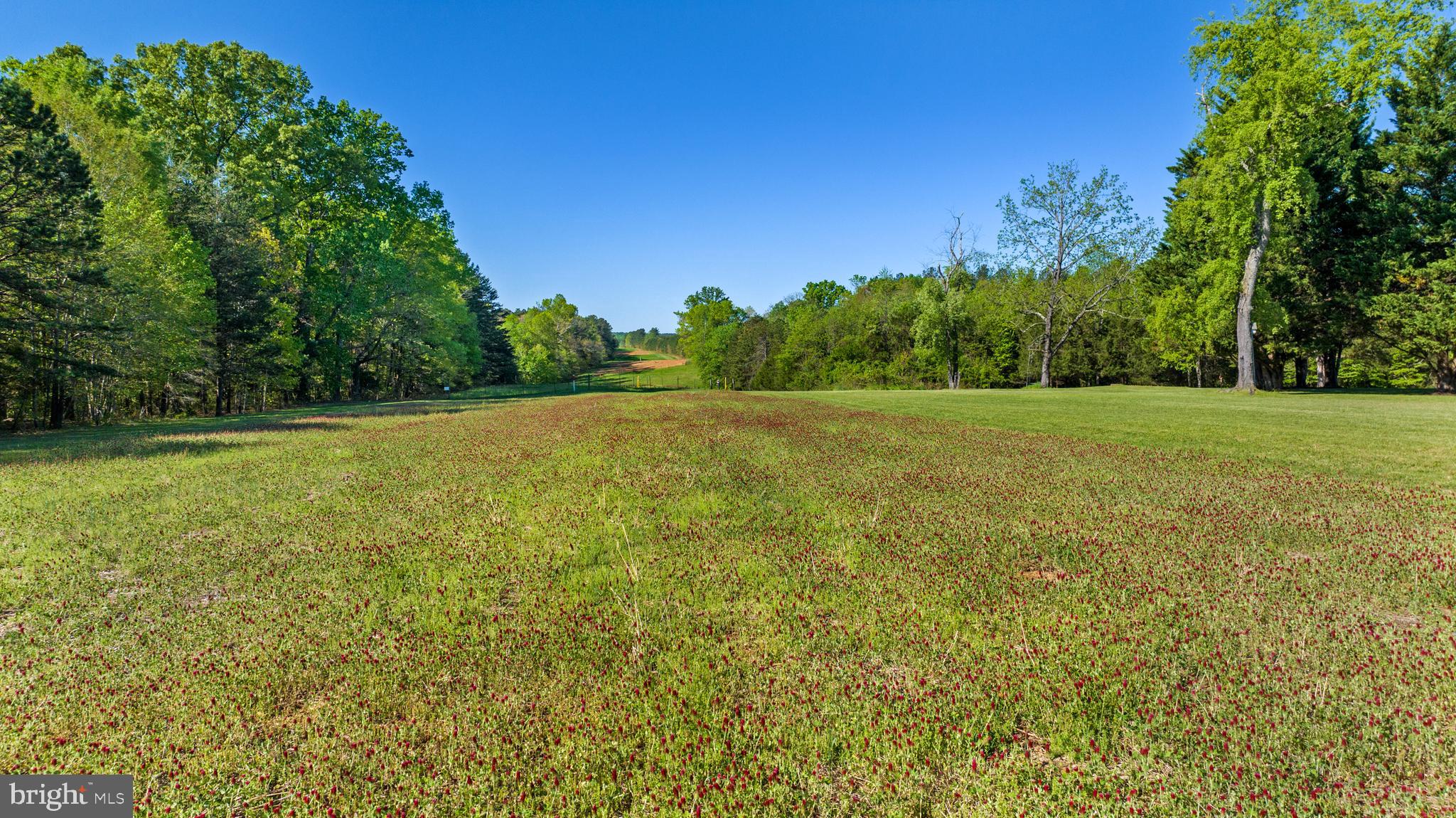 12421 Campbell Road Orange, VA 22960 - Photo 42 of 71 Gallery Image 42
