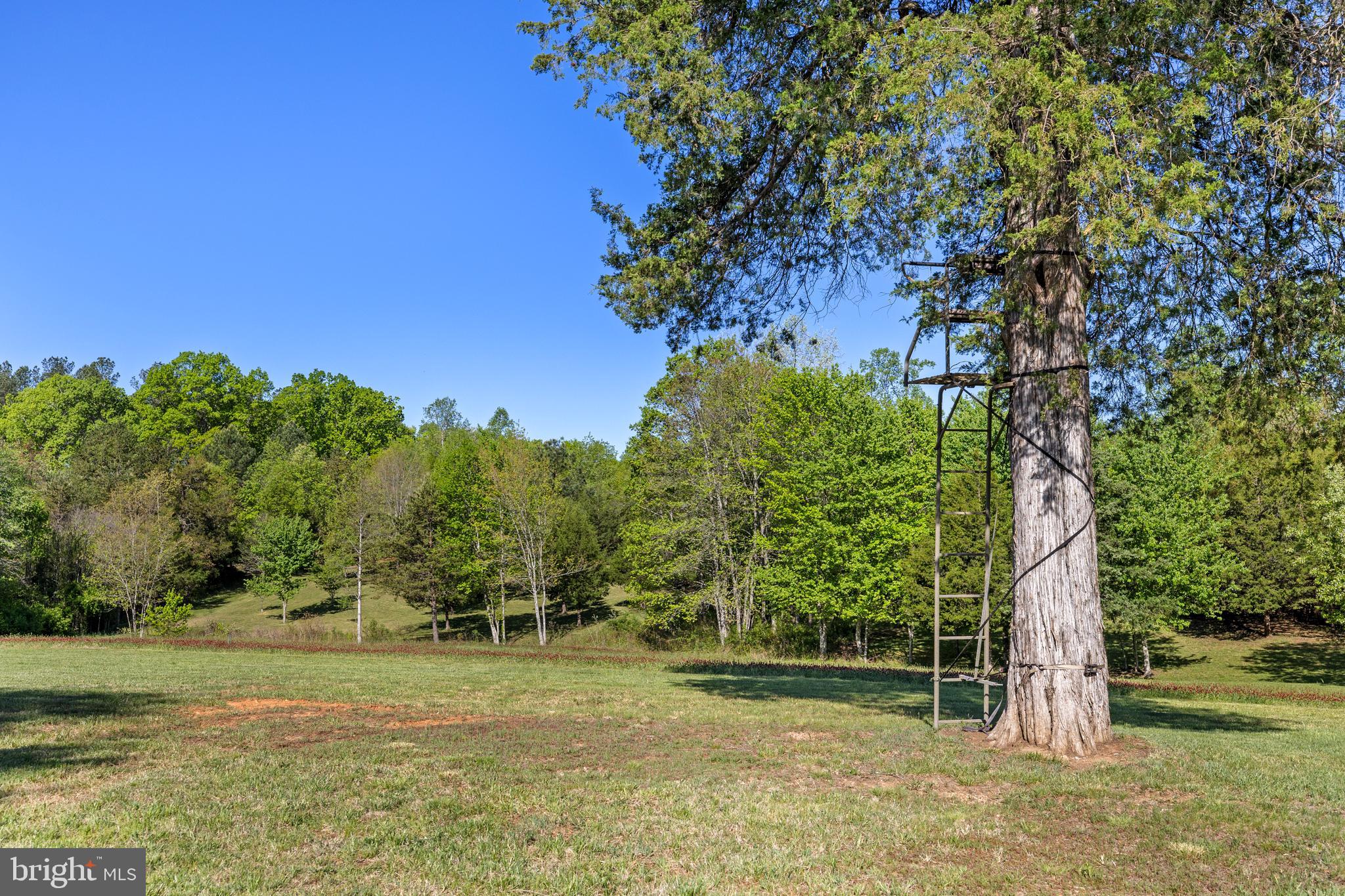 12421 Campbell Road Orange, VA 22960 - Photo 50 of 71 Gallery Image 50