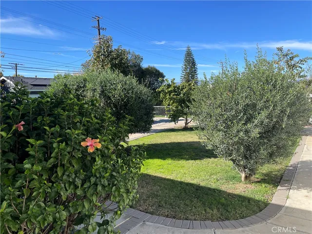 a view of a backyard