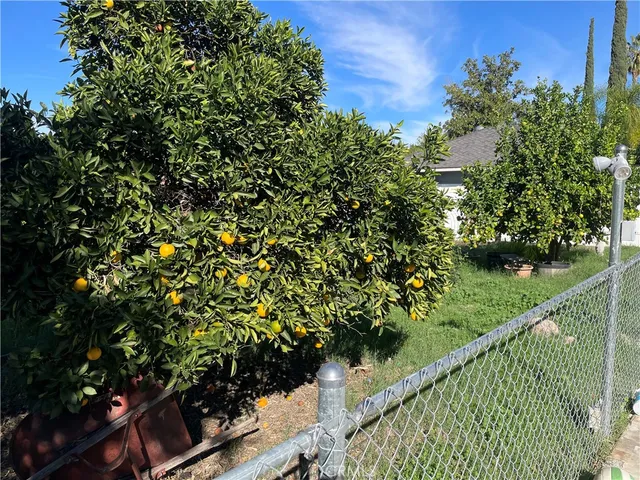 a view of a garden with a building in the background