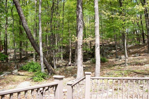 2755 Dundee Road Bushkill, PA 18324 - Photo 12 of 13 Backyard from Deck