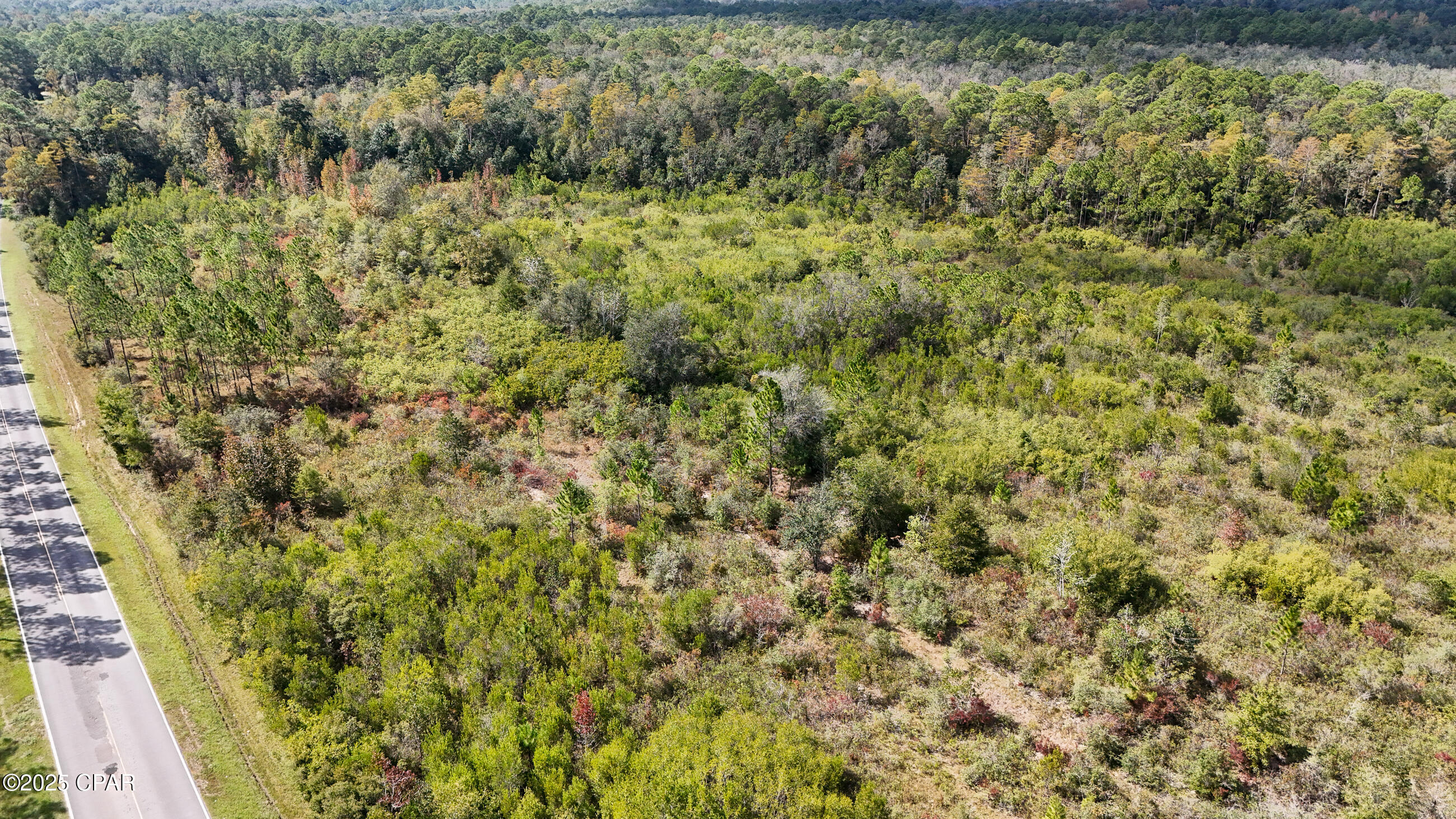 0 Douglas Ferry Road Bonifay, FL 32425 - Photo 25 of 26 Gallery Image 25