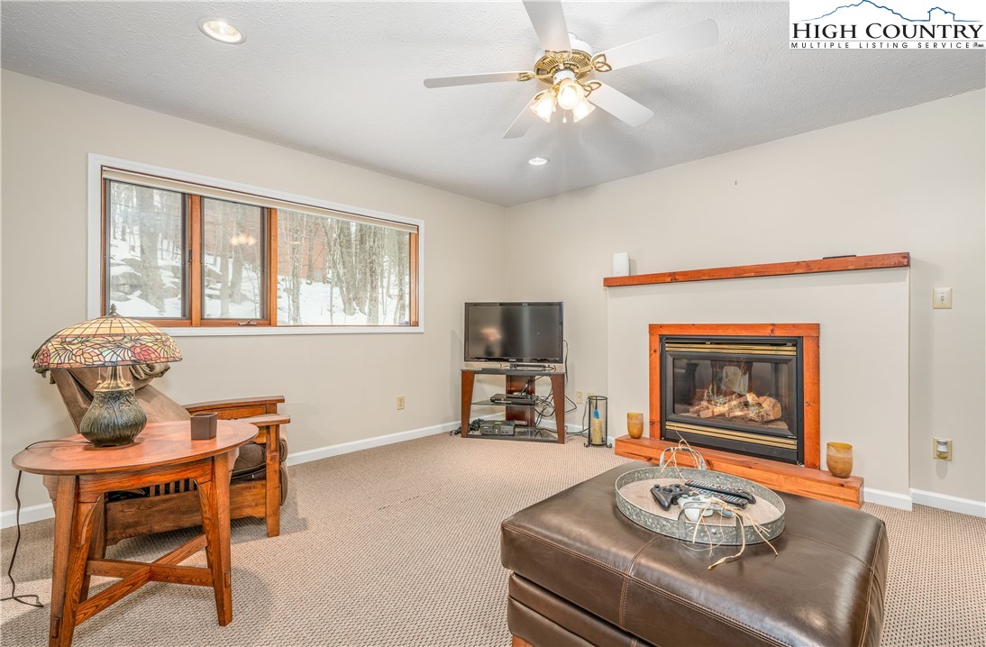 507 Pine Ridge Road Beech Mountain, NC 28604 - Photo 32 of 49