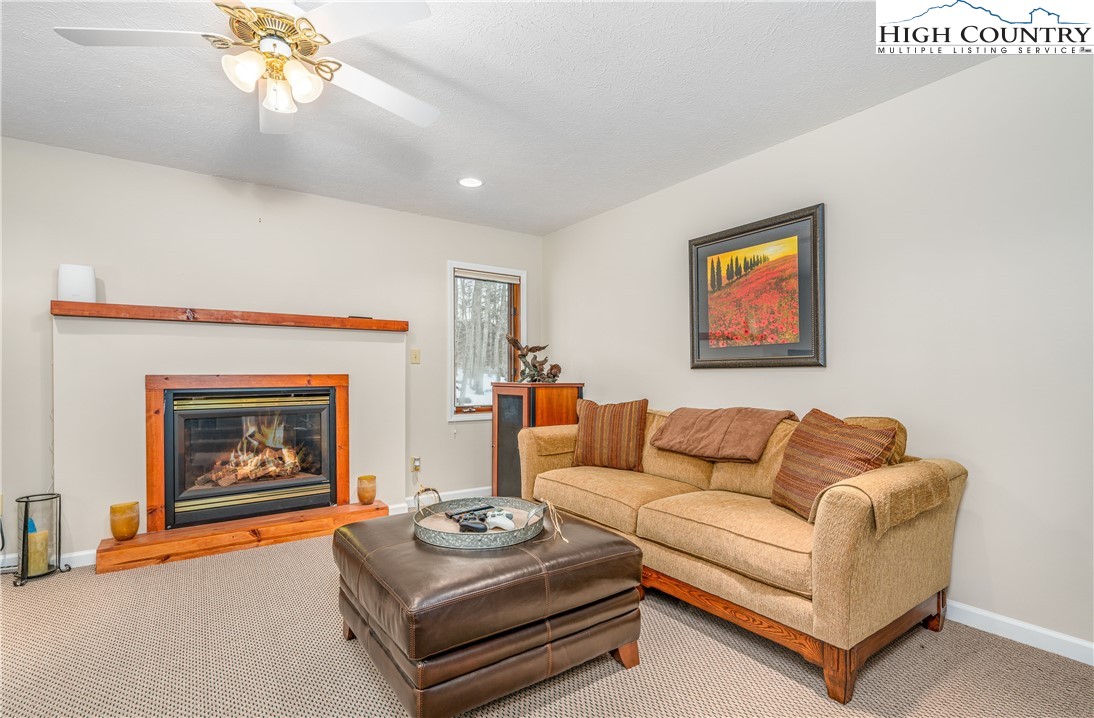 507 Pine Ridge Road Beech Mountain, NC 28604 - Photo 33 of 49