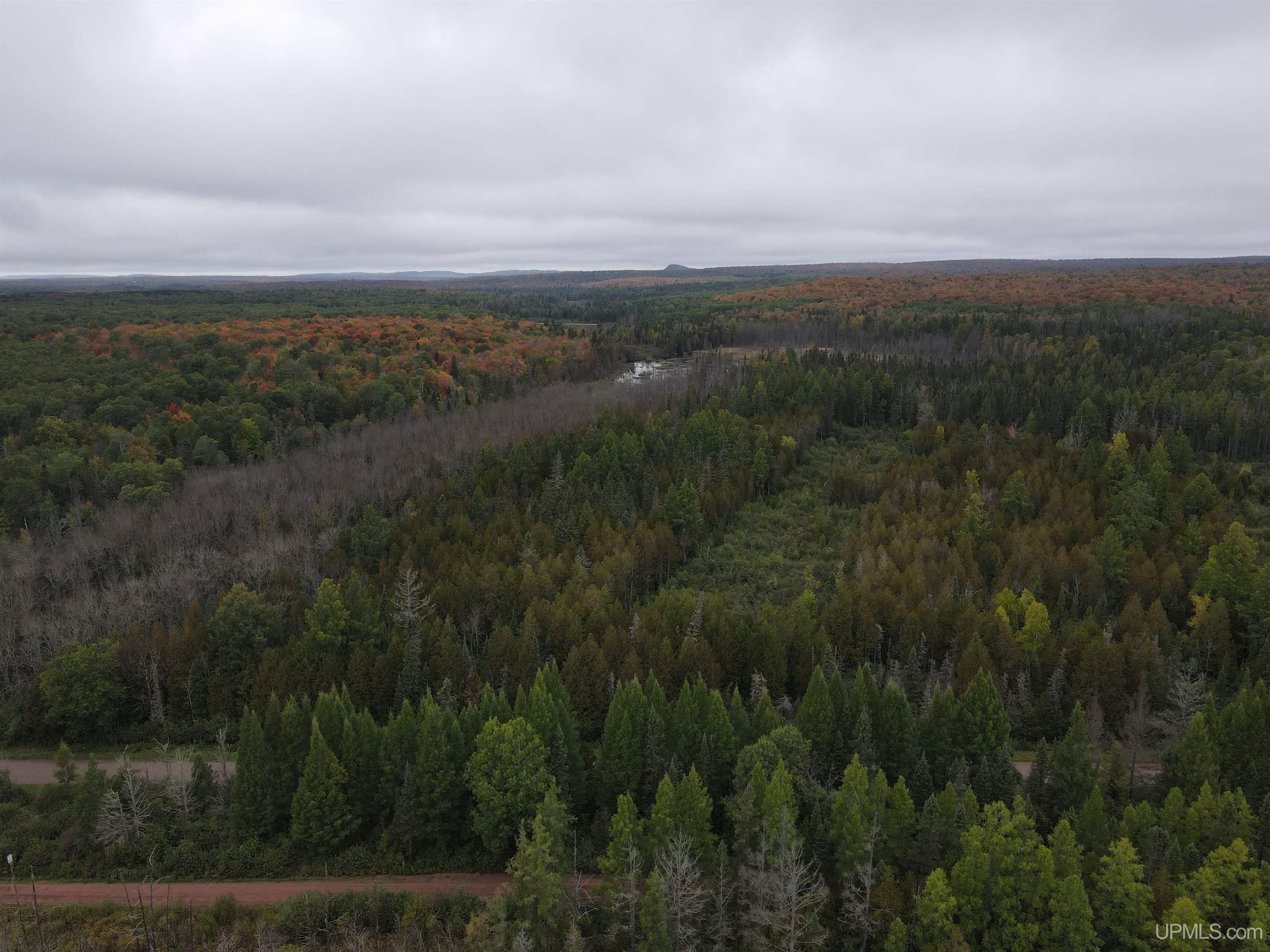 On Dunham Road Marenisco, MI 49947 - Photo 34 of 47