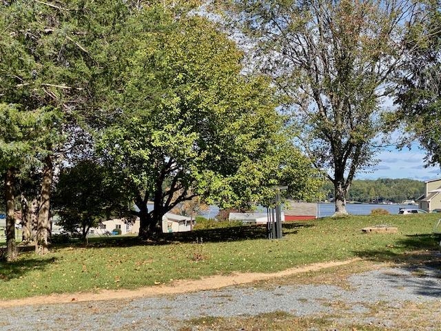 85 Fairview Road Louisa, VA 23093 - Photo 4 of 42 a view of a yard with plants and trees