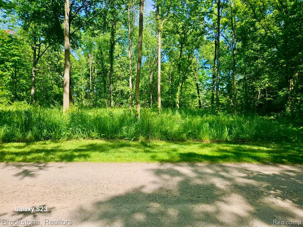 0 Hunts Fork Linden, MI 48451 - Photo 2 of 6