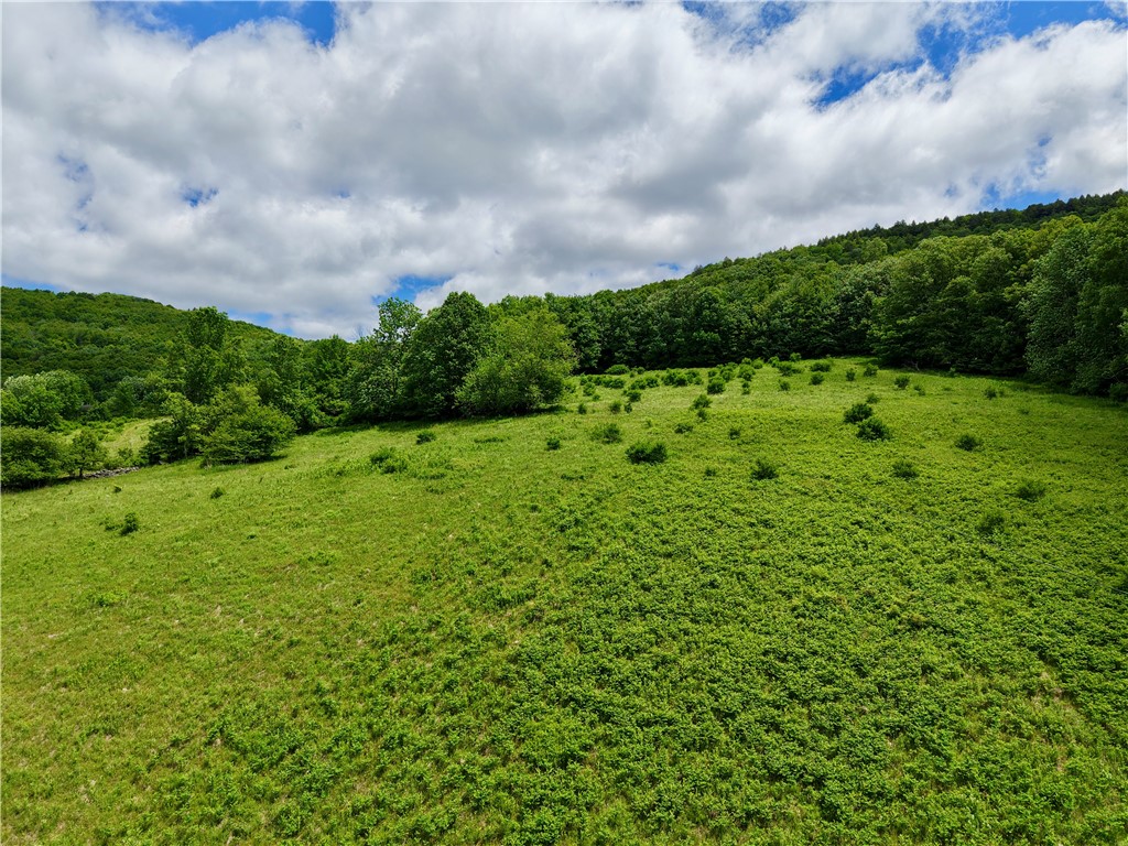 240 Dowie Road Andes, NY 13731 - Photo 44 of 49