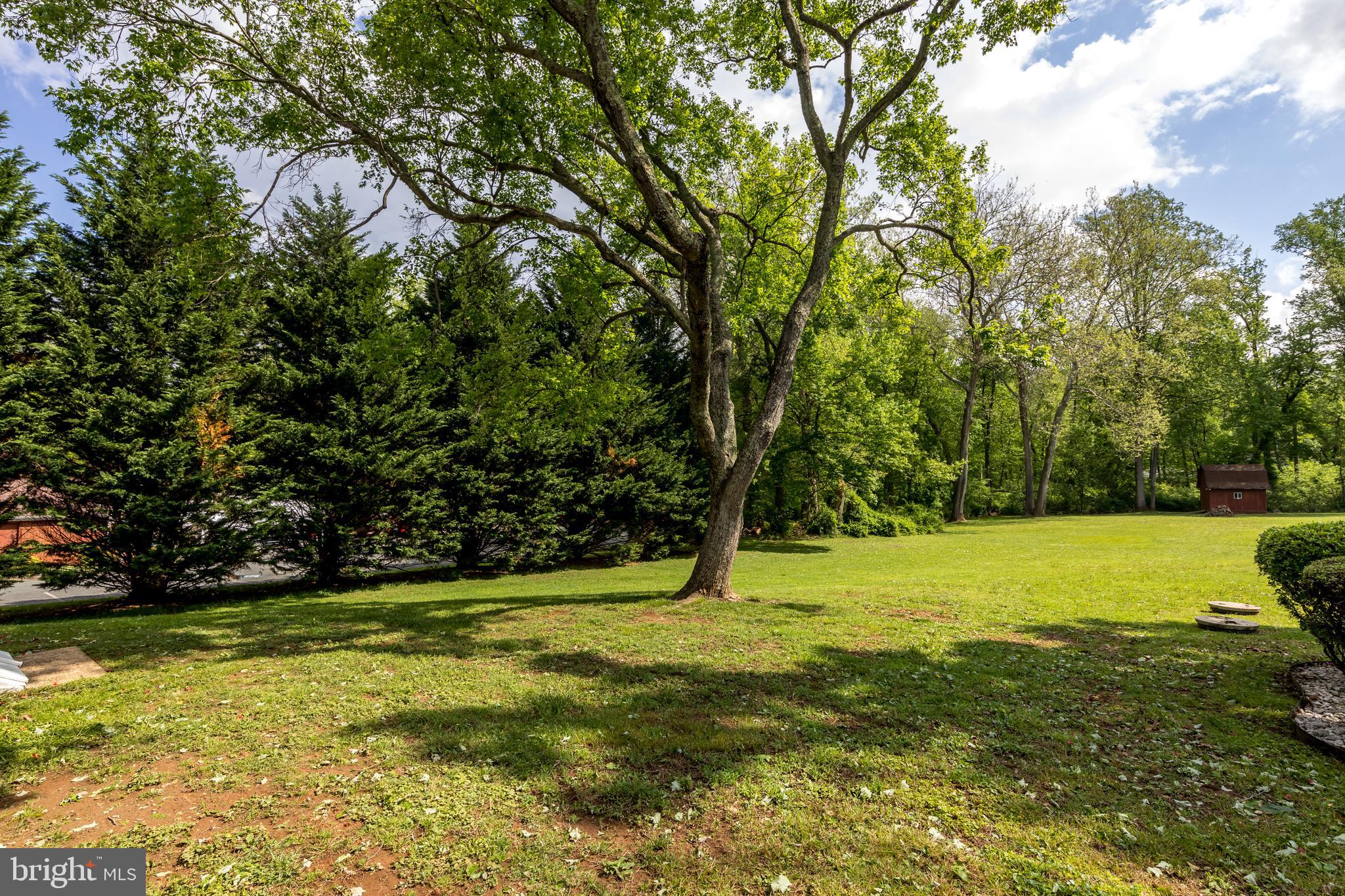 407 Wilgis Road Fallston, MD 21047 - Photo 5 of 37 a view of a trees with a yard