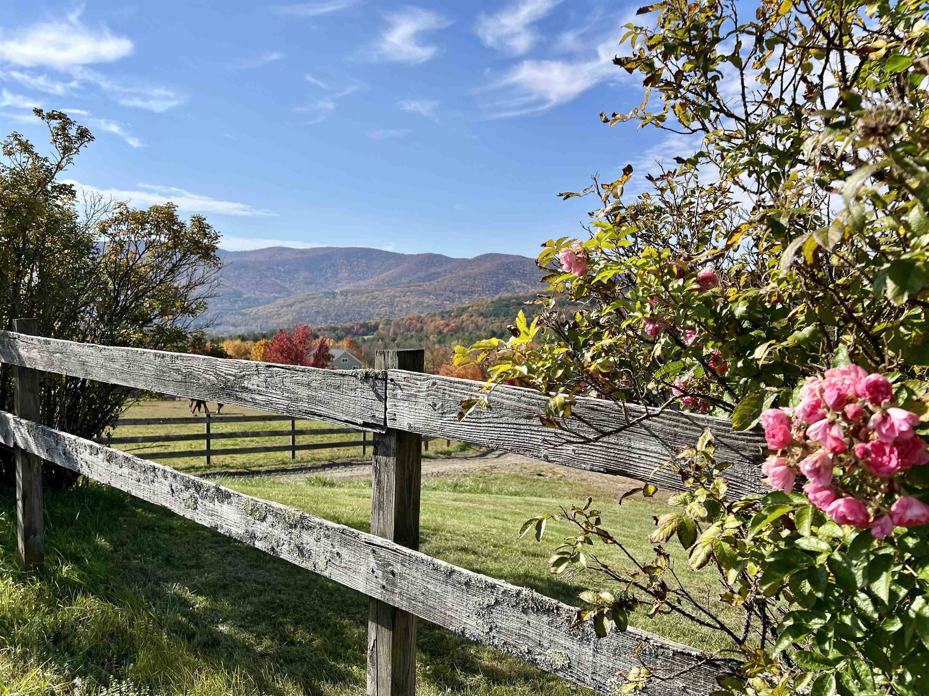 1228 Skiparee Road Pownal, VT 05260 - Photo 4 of 43