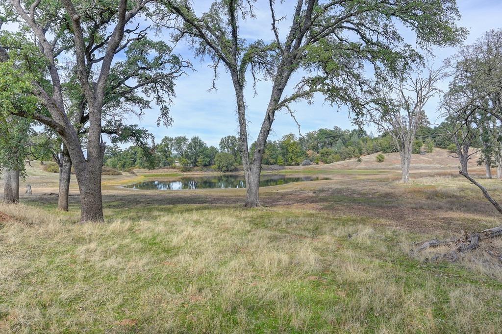 2 Shinn Ranch Road Placerville, CA 95667 - Photo 2 of 8 a view of a yard with a tree