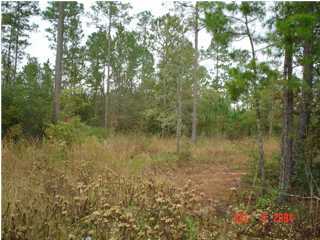 Lot 4-5 Hansen Road Freeport, FL 32439 - Photo 1 of 1 Primary Photo