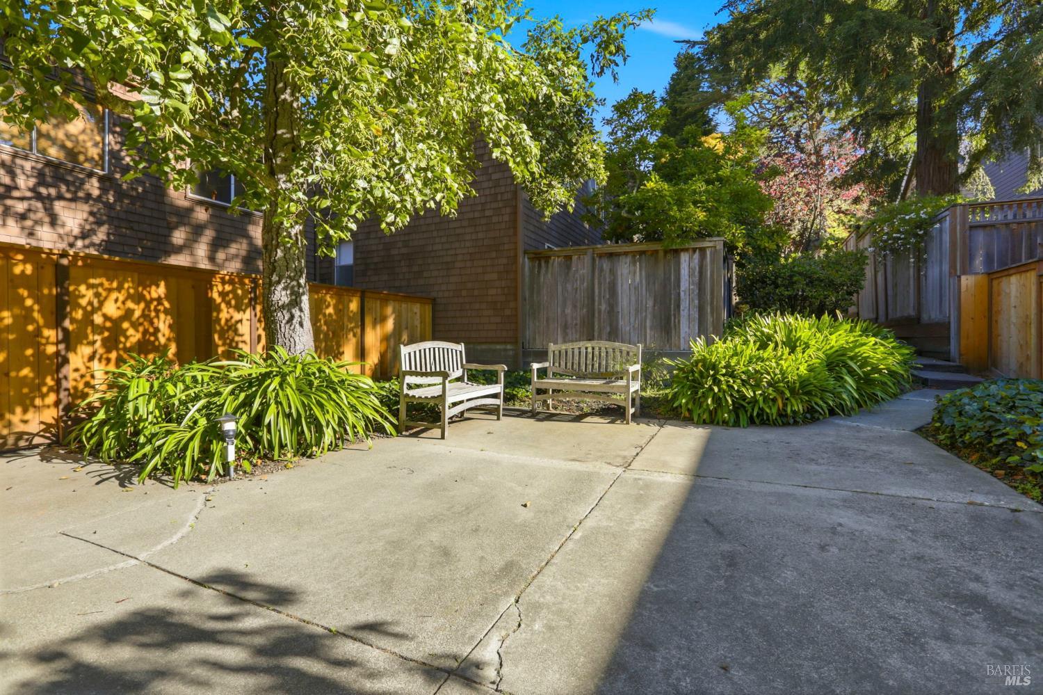 380 Sunset Way Mill Valley, CA 94941 - Photo 40 of 41 a view of a backyard with plants and tree