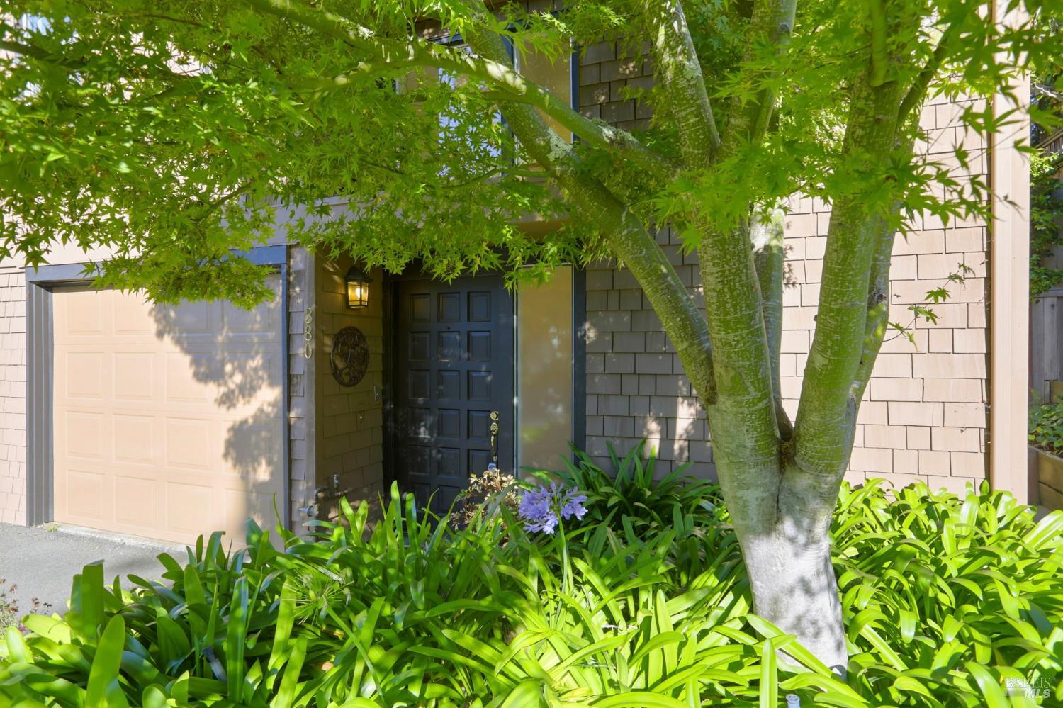 380 Sunset Way Mill Valley, CA 94941 - Photo 4 of 41 a backyard of a house with lots of green space