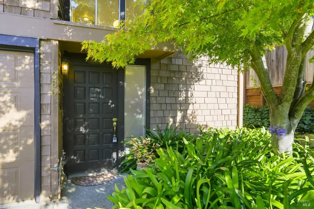 a couple of flower plants in front of door