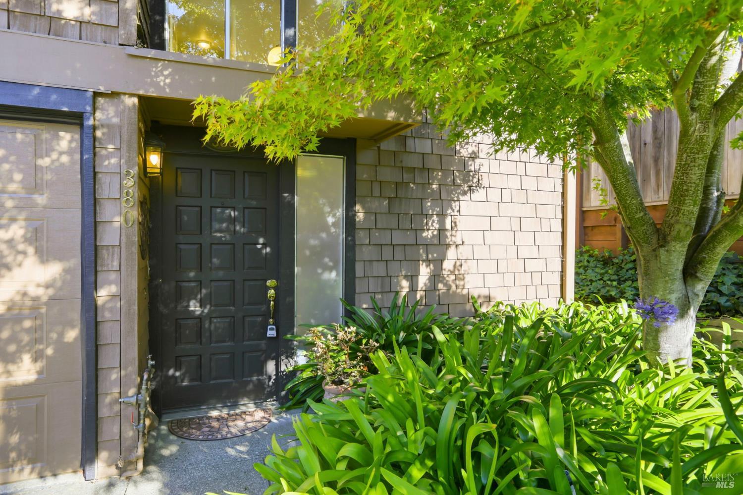 380 Sunset Way Mill Valley, CA 94941 - Photo 5 of 41 a couple of flower plants in front of door