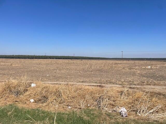 100 Rd Tulare, CA 93274 - Photo 4 of 6 Road 100 4