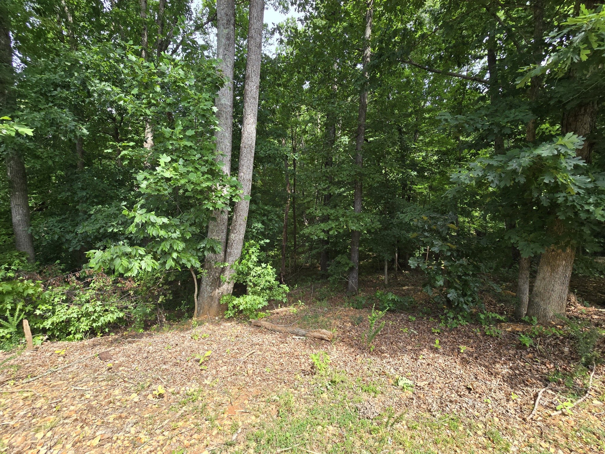 1195 Boulder Pass Road Clarksville, TN 37040 - Photo 30 of 32