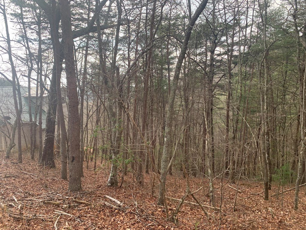 Lot 20 Wolf Ridge Lane Murphy, NC 28906 - Photo 11 of 27
