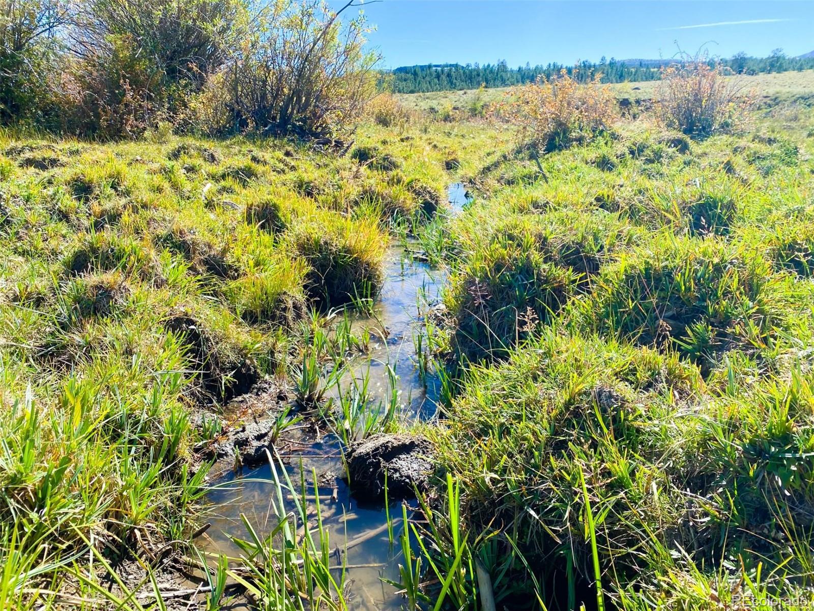 0 Rosebush Road Canon City, CO 81212 - Photo 4 of 11 a view of a garden with a tree