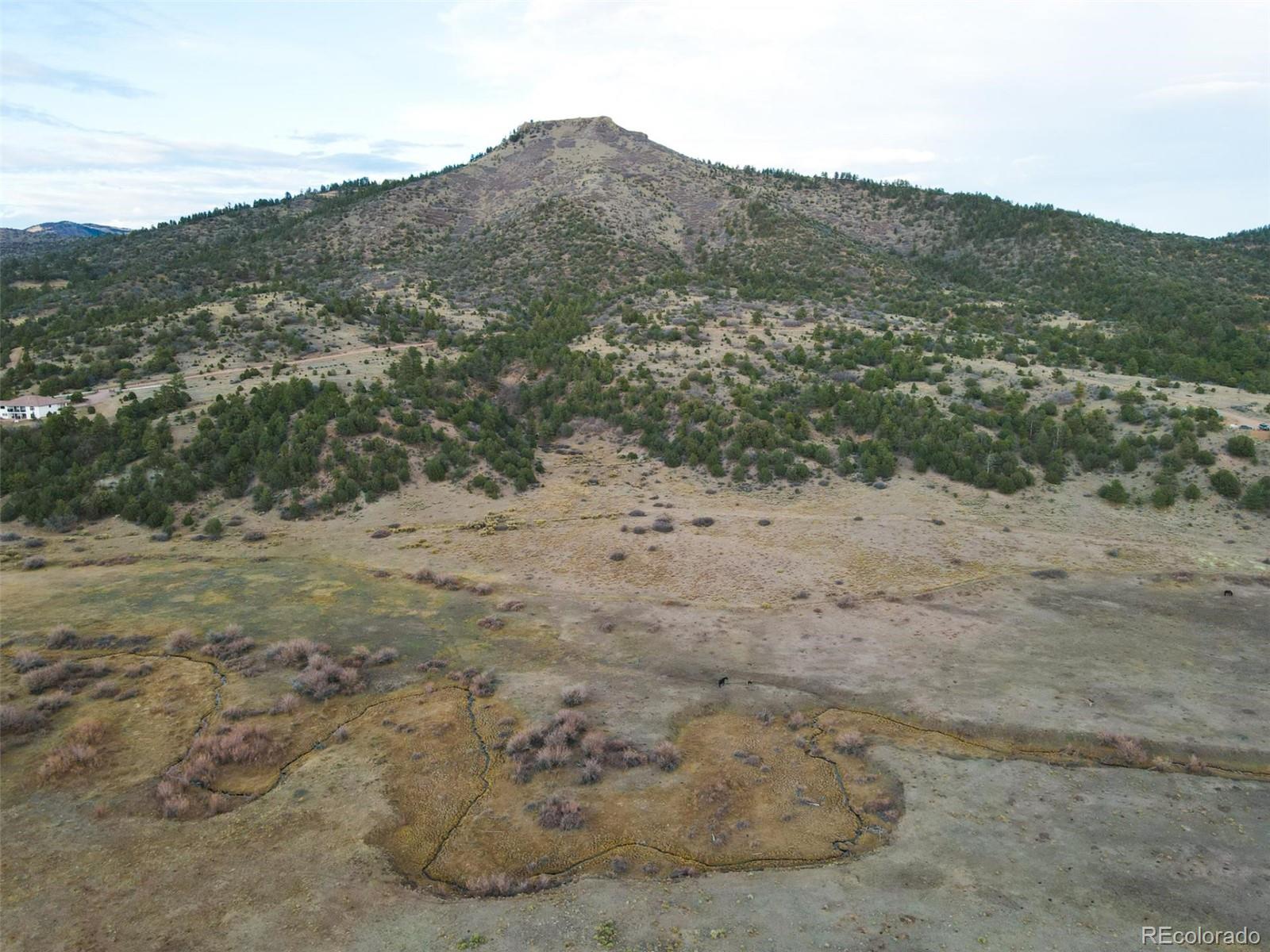 0 Rosebush Road Canon City, CO 81212 - Photo 7 of 11 a view of a dry yard with mountains in the background