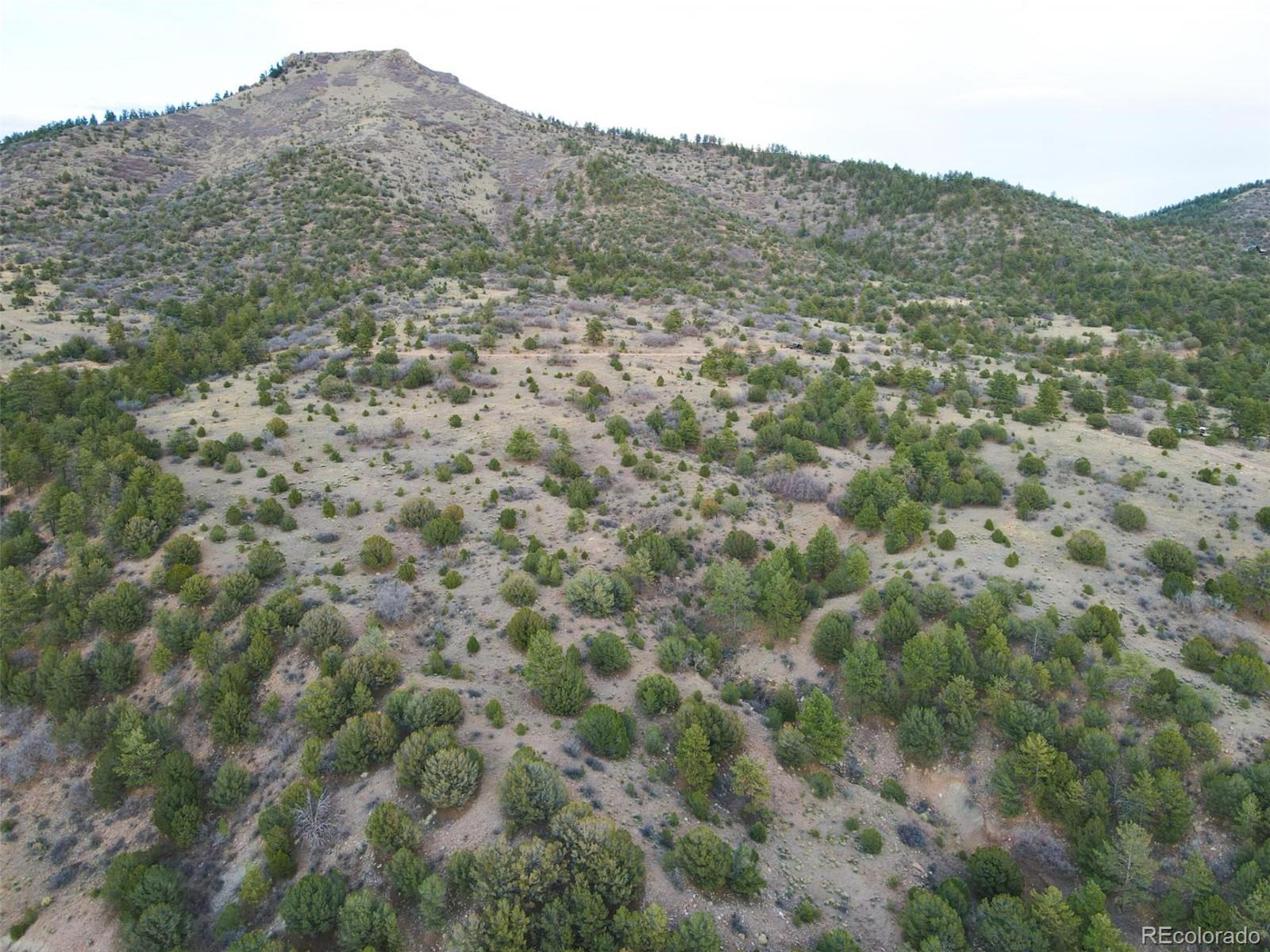 0 Rosebush Road Canon City, CO 81212 - Photo 8 of 11 a view of a mountain in the distance in a field