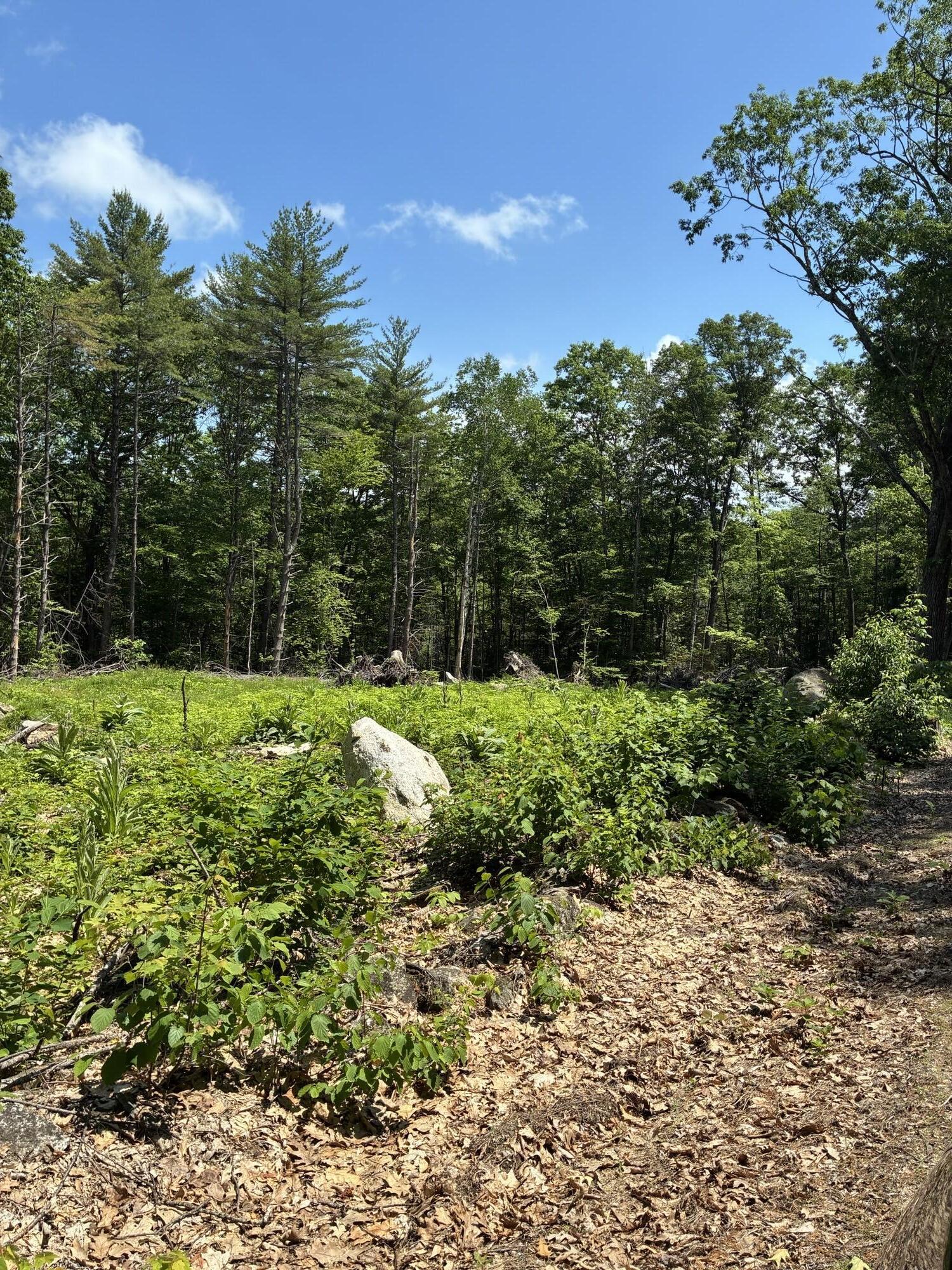Map7-lot40 Round-The-Pond Road Norway, ME 04268 - Photo 4 of 6 IMG_2070