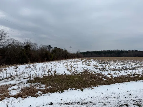 $35,000 | Lot 2 Beasley Road, Roper, NC 27970