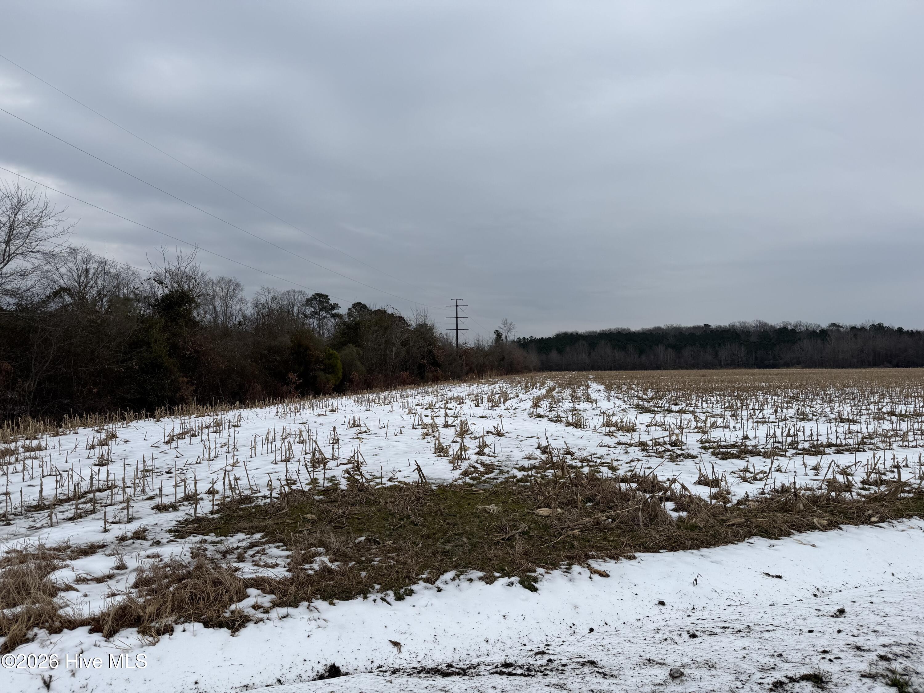 Lot 2 Beasley Road Roper, NC 27970 - Photo 2 of 3 IMG_7584