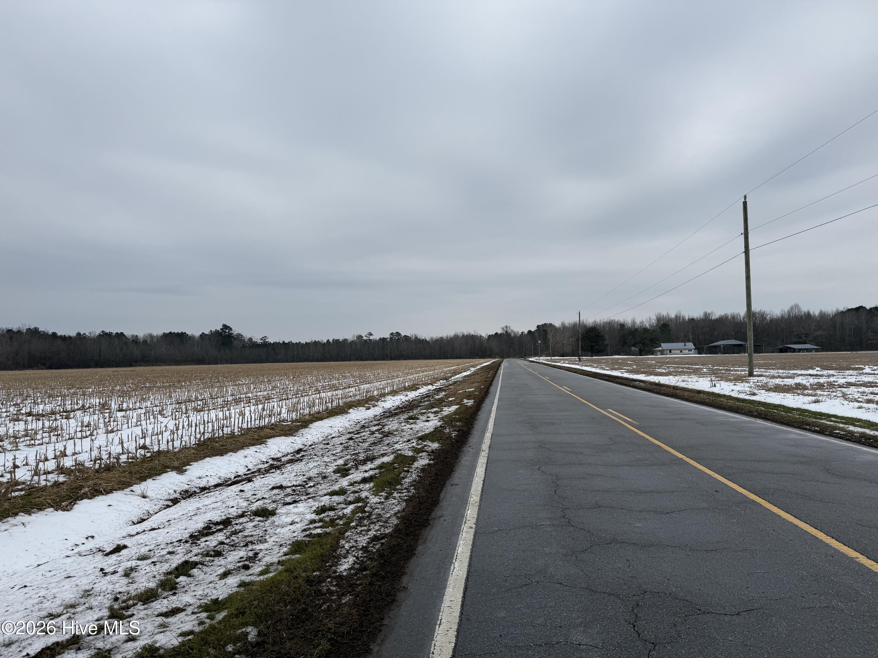 Lot 2 Beasley Road Roper, NC 27970 - Photo 3 of 3 IMG_7585