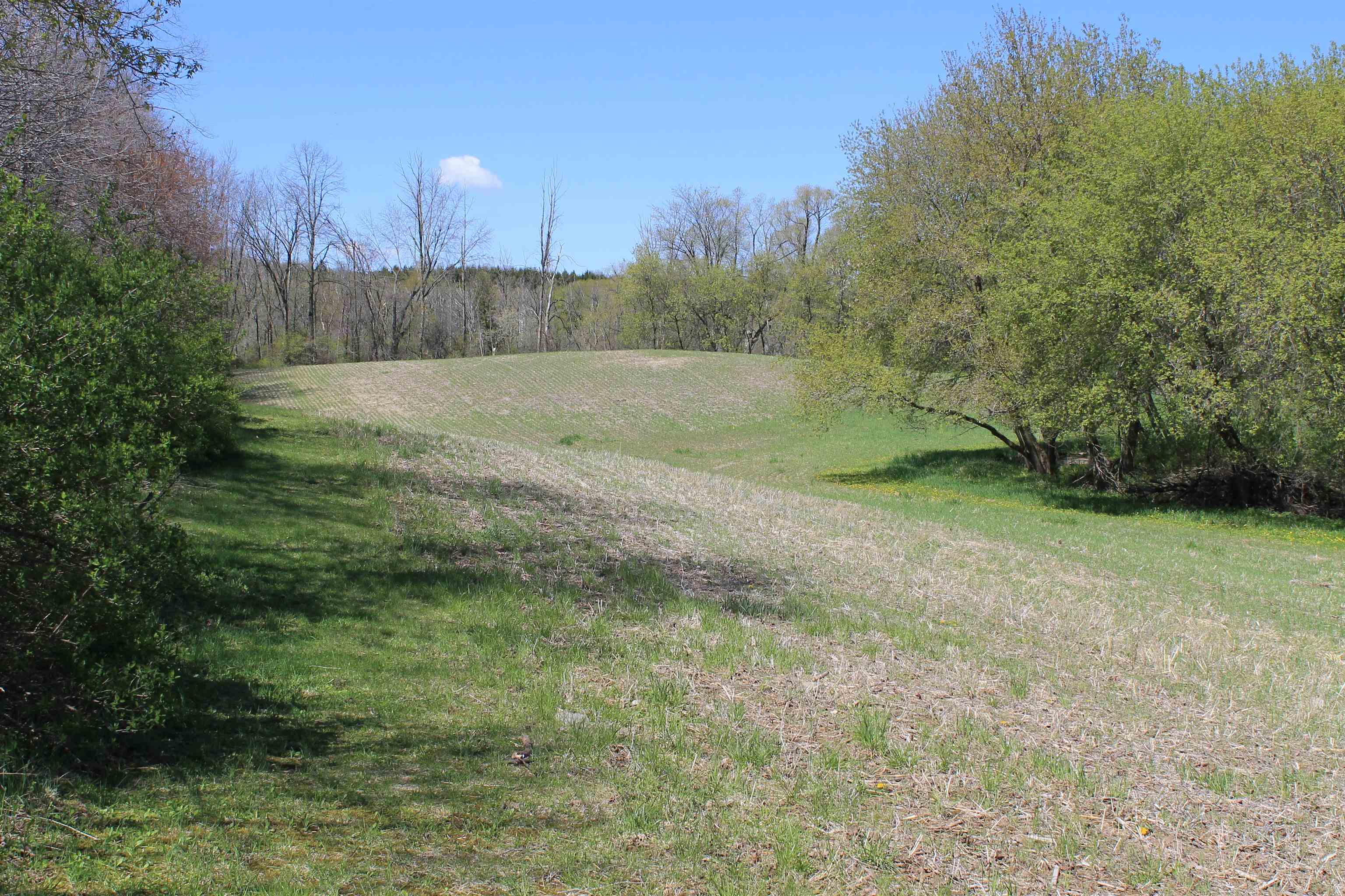 4002 County Rd I Saukville, WI 53080 - Photo 45 of 64