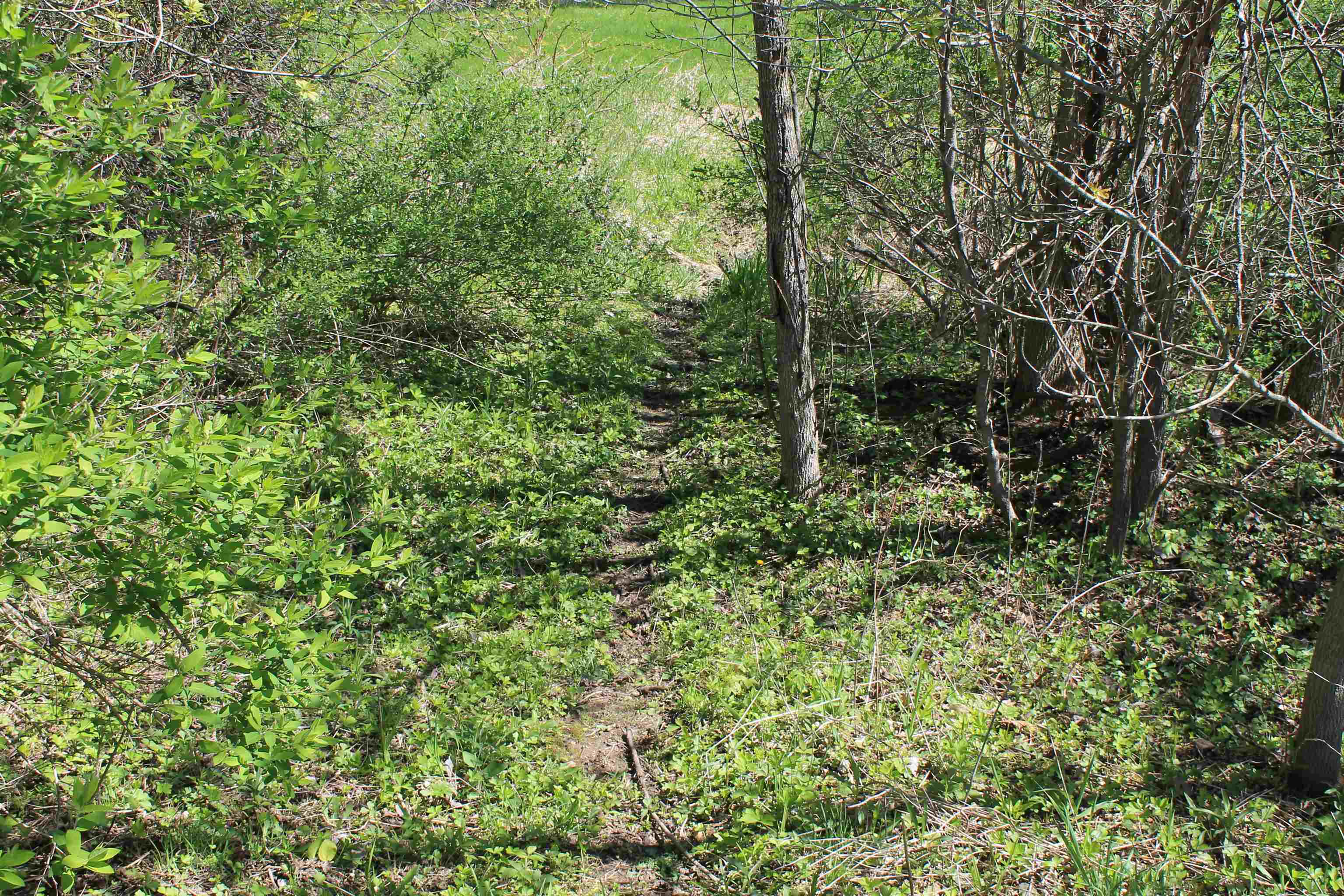 4002 County Rd I Saukville, WI 53080 - Photo 47 of 64