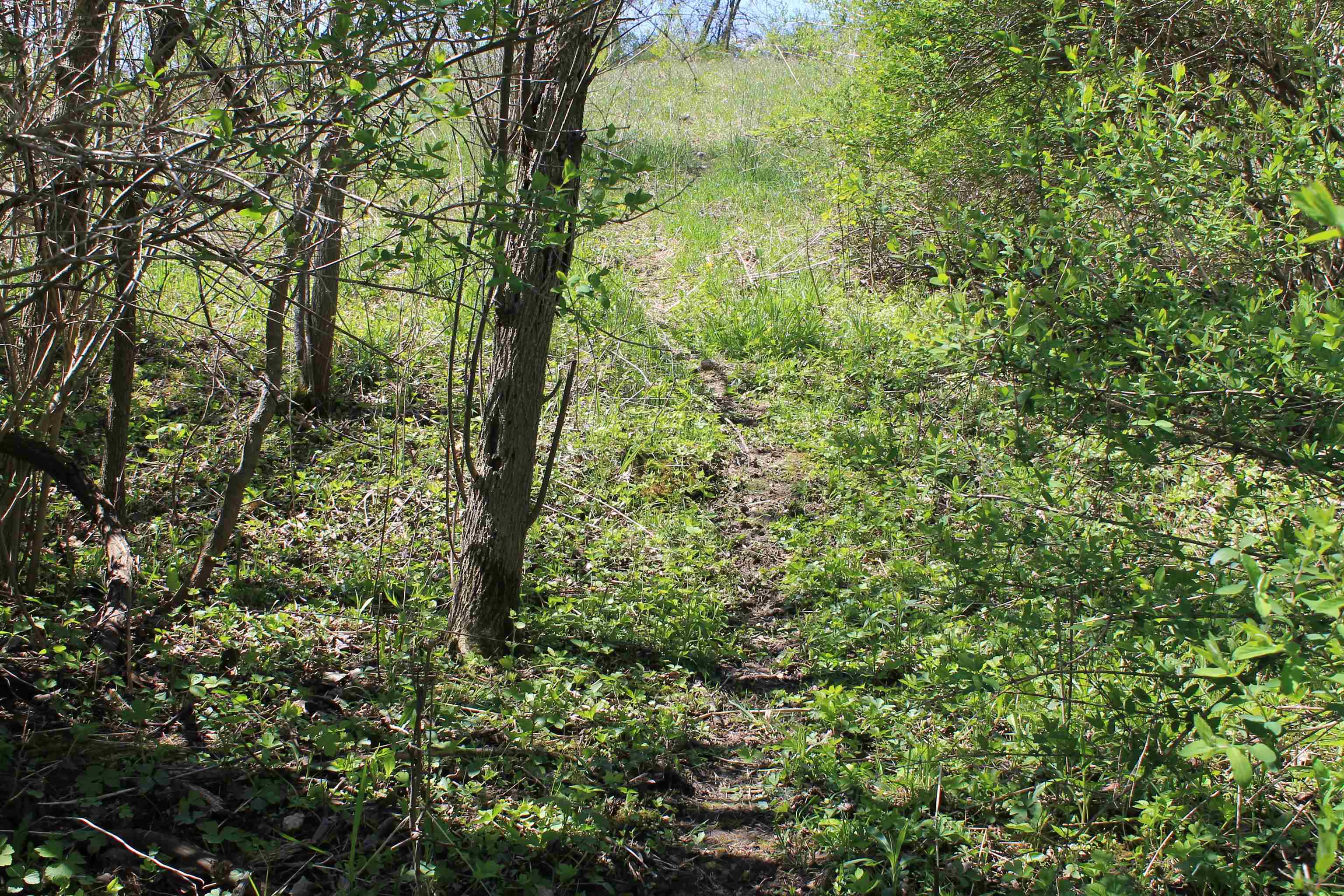 4002 County Rd I Saukville, WI 53080 - Photo 48 of 64