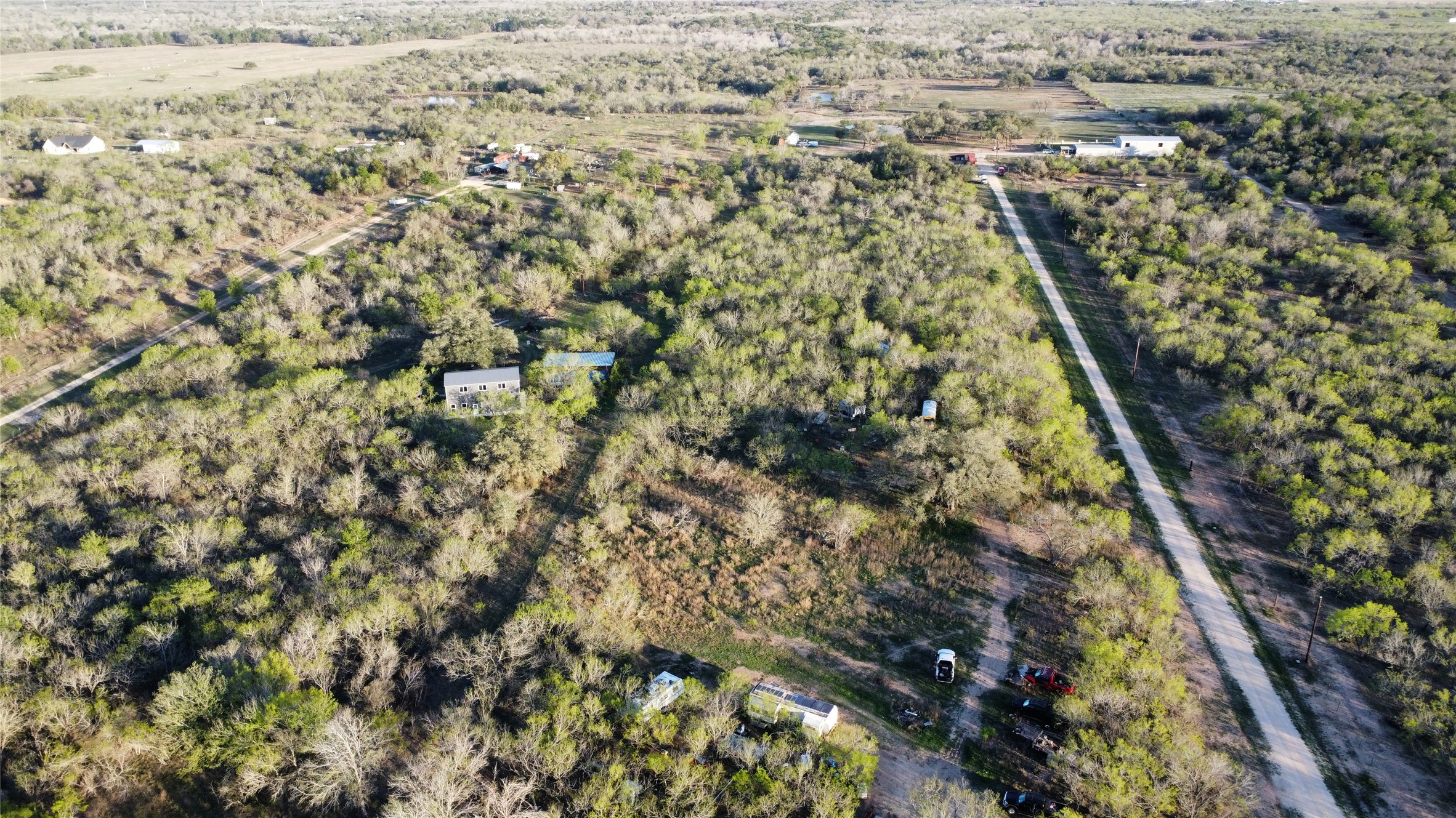 a view of a yard