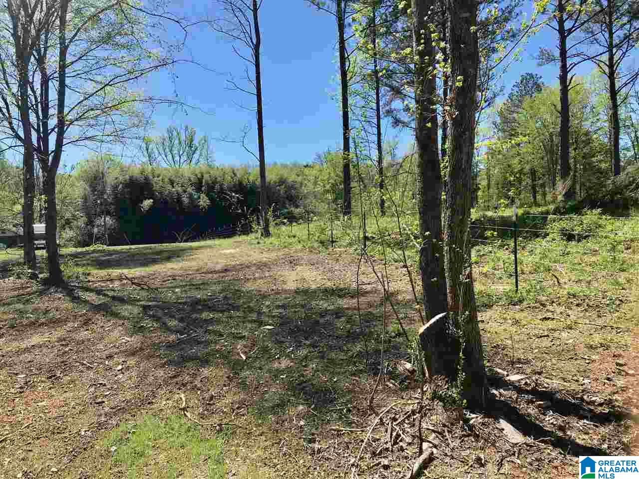 4715 Greensport Road Ashville, AL 35953 - Photo 30 of 31
